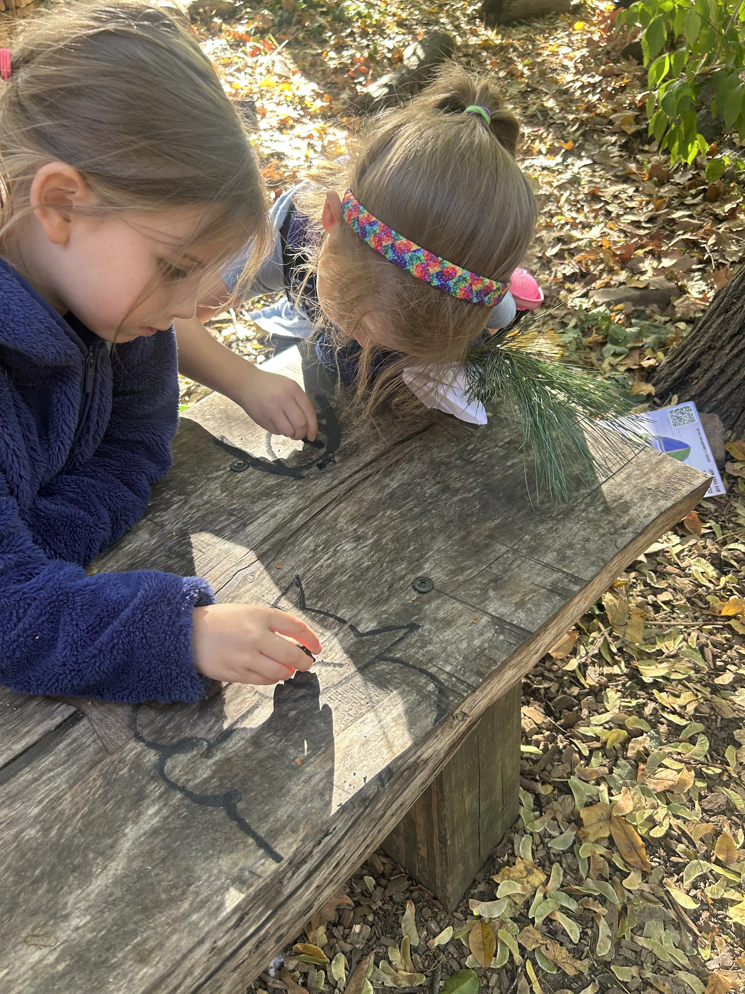 Foraging Adventures and Impromptu Art 