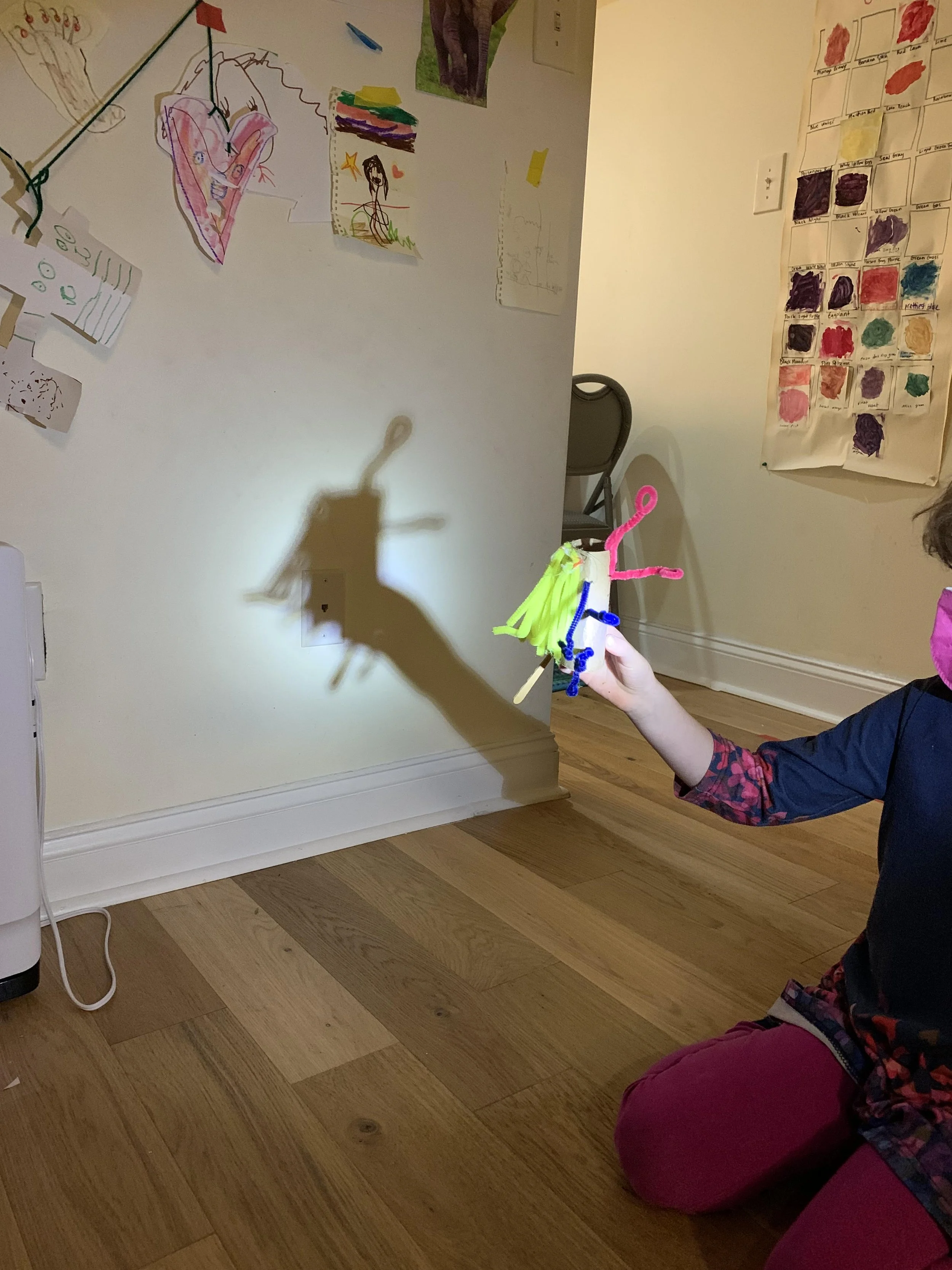 Shadow Puppets