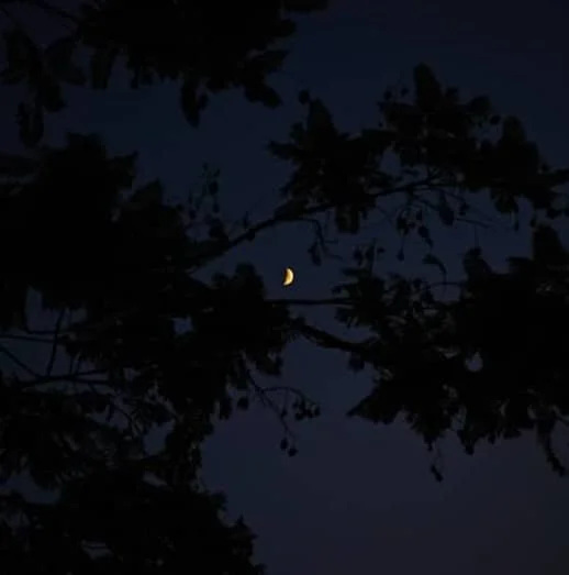 Enjoying the In-Betweens: a New Year's Meditation