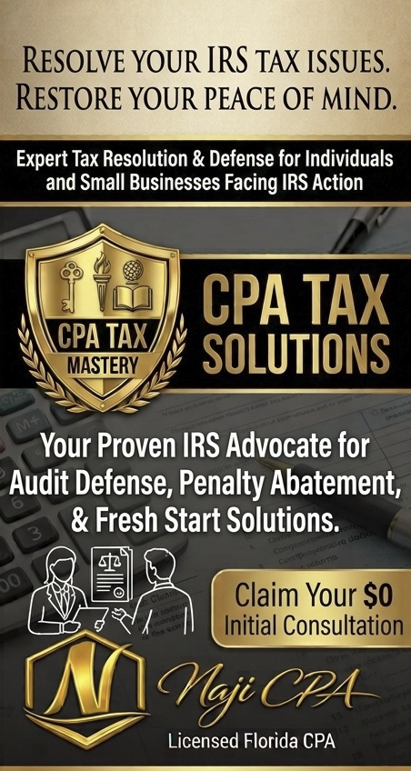 Audit Defense (Examination Representation)