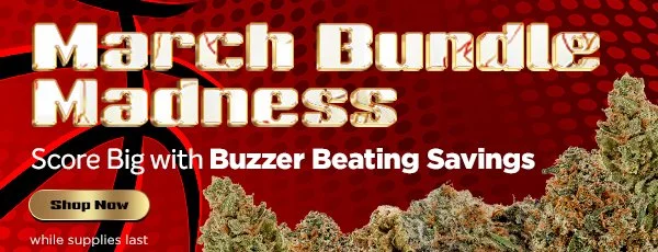 Bento_EmailSupport_Banner_MarchBundleMadness.jpg
