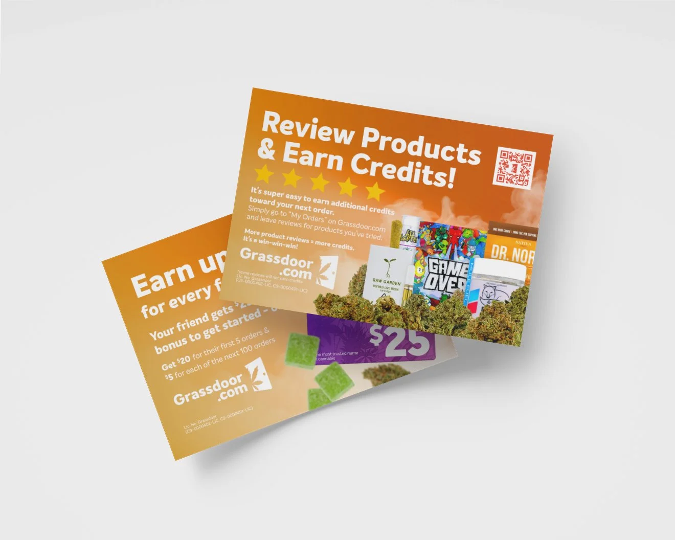 Review_BagInsert_Mockup.jpg