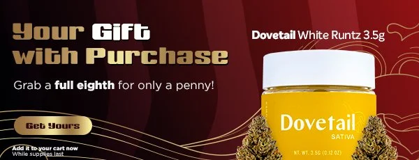 Bento_EmailSupport_Banner_DovetailGWP_WhiteRuntz.jpg