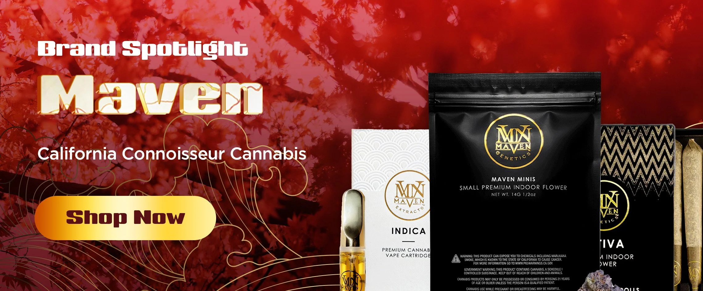 Bento_DesktopBanner_Maven_BrandSpotlight.jpg