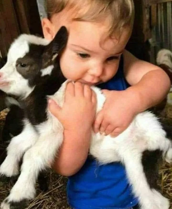 ANIMALS &amp; CHILDREN