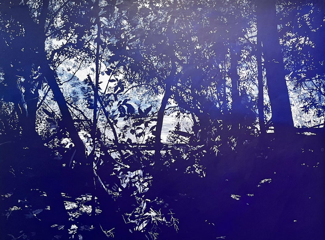 Audrey Anderson’s ‘Fit in Outside’ Artist Statement  