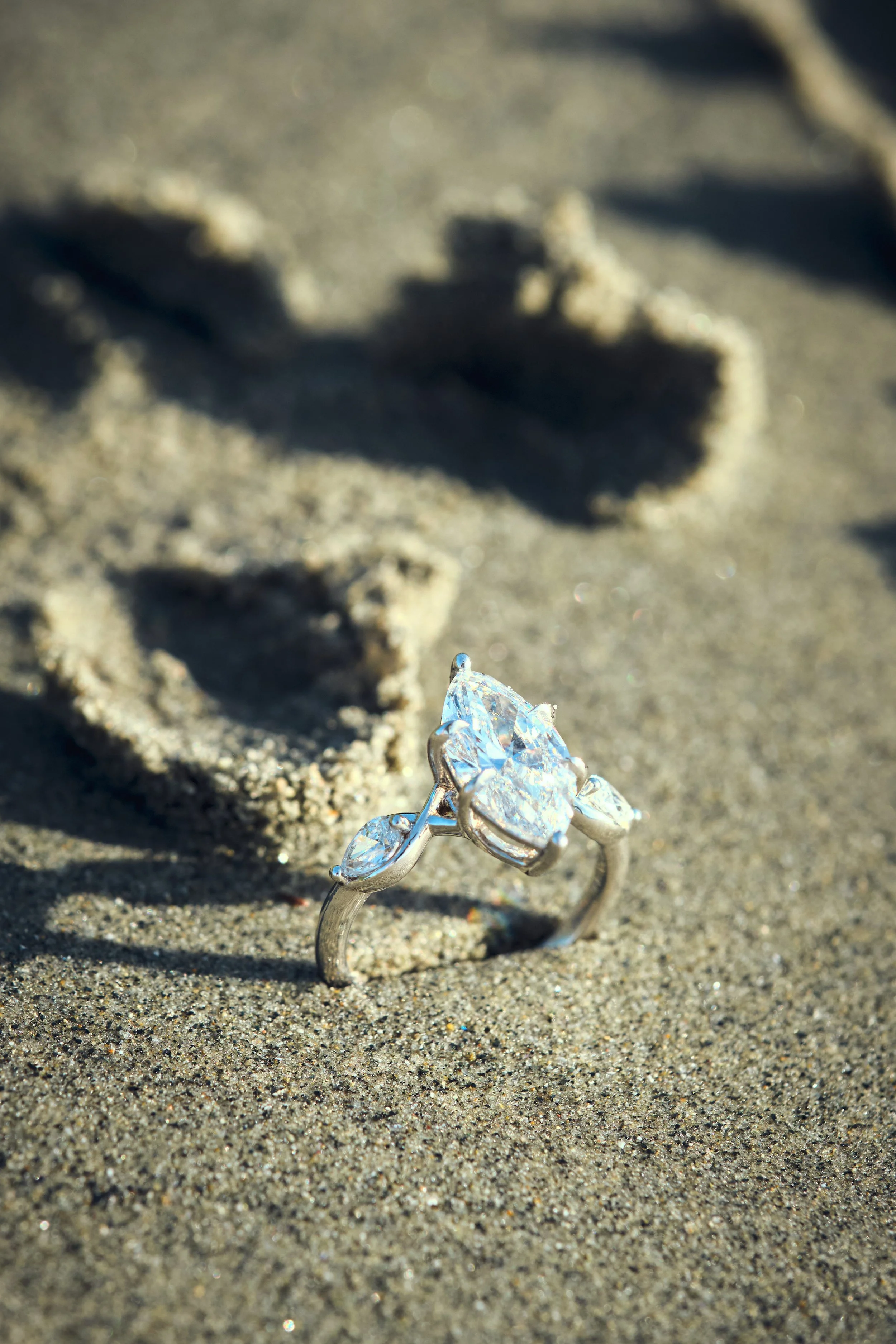 Mark and Iris16.jpg