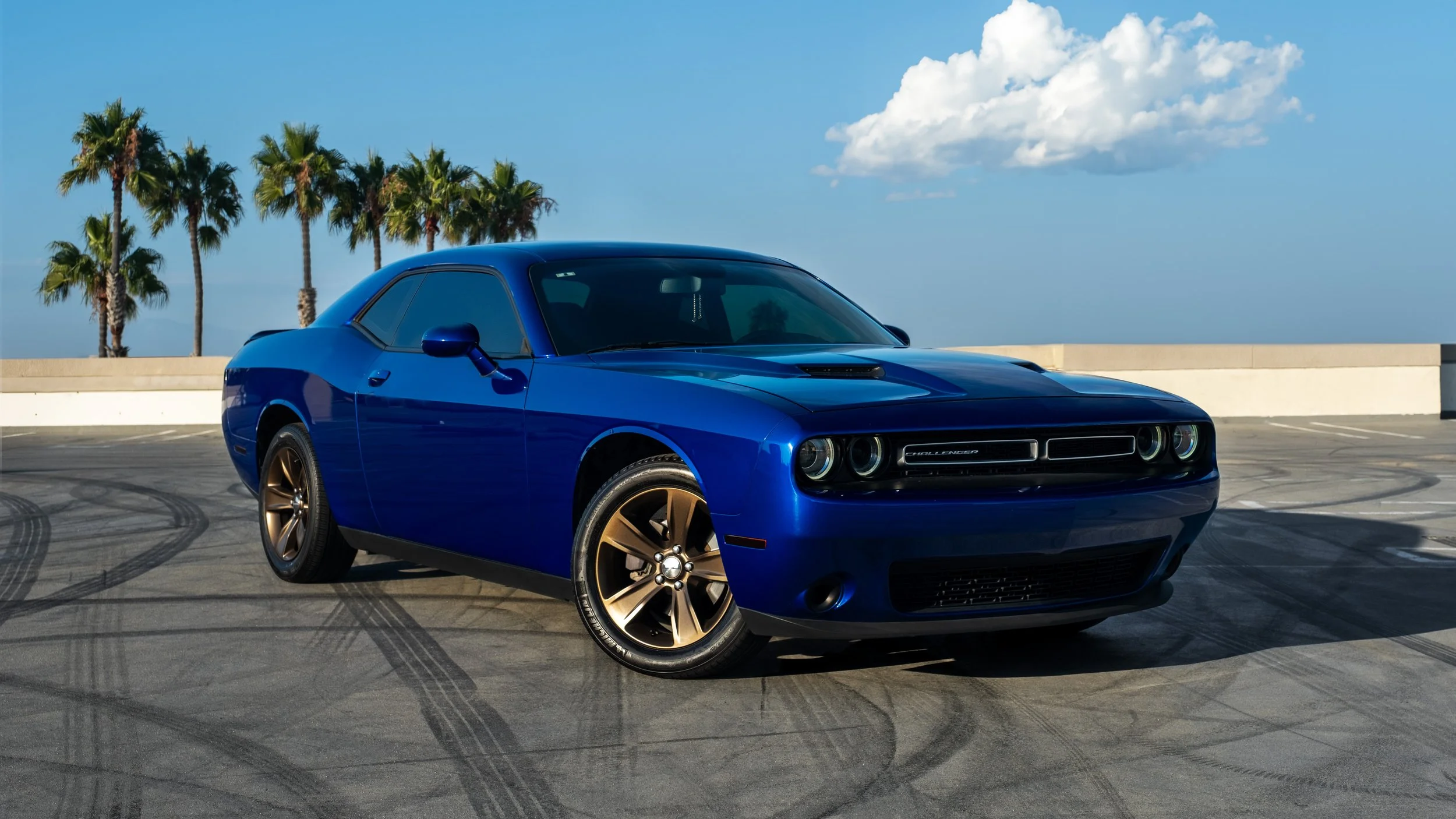 A blue Dodge Challenger car parked on a rooftop with palm trees and a clear sky in the background.