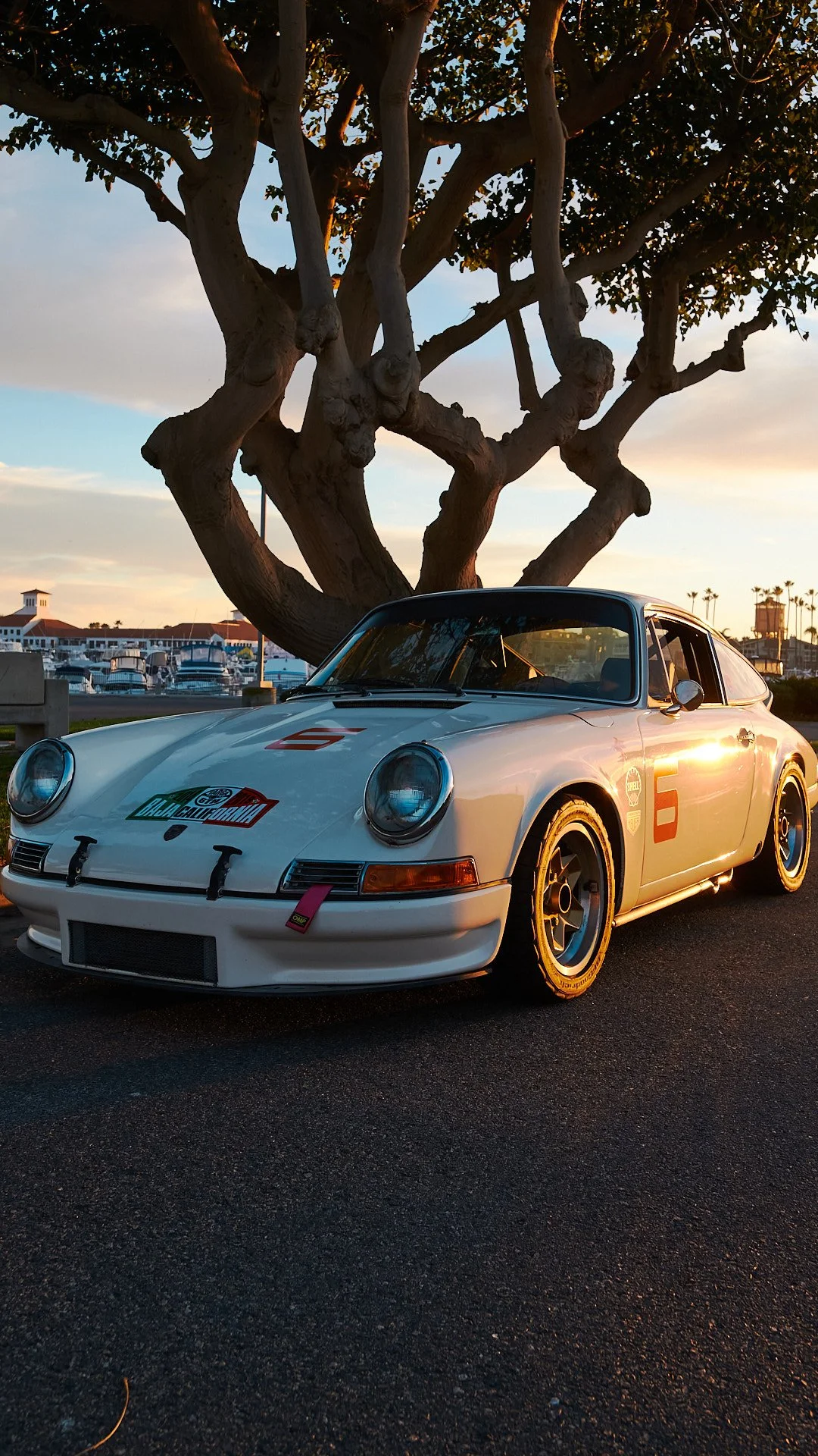 A white vintage porsche 912 race car parked on the street near a large tree, with boats and a marina in the background, during sunset.