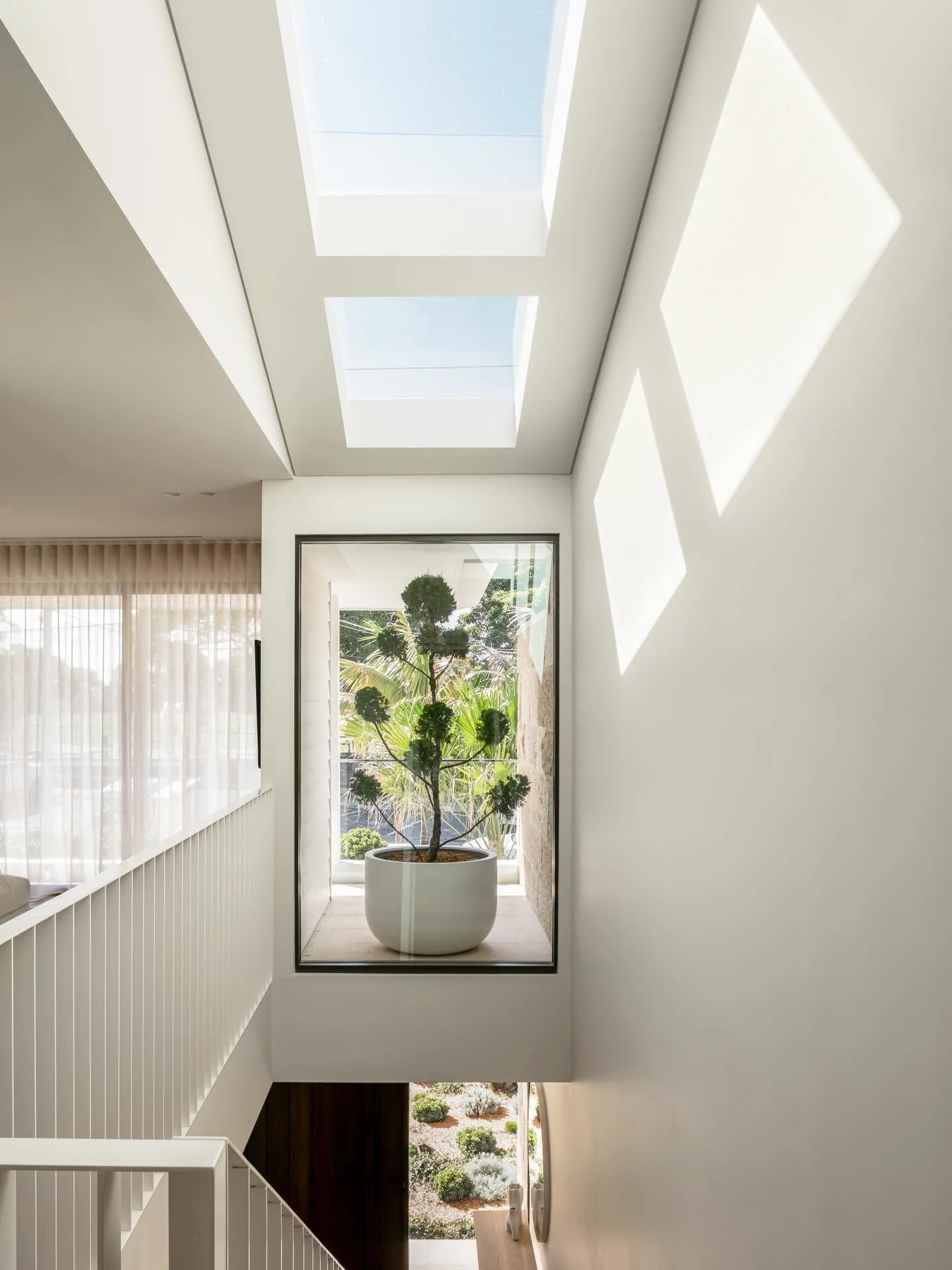 Morning light at Project Caronia ☀️ 

Lots of consideration was taken when designing this South facing dual occupancy, to ensure natural lit interiors throughout. With thoughtful placements of windows, skylight and voids, these homes feel sunny throu