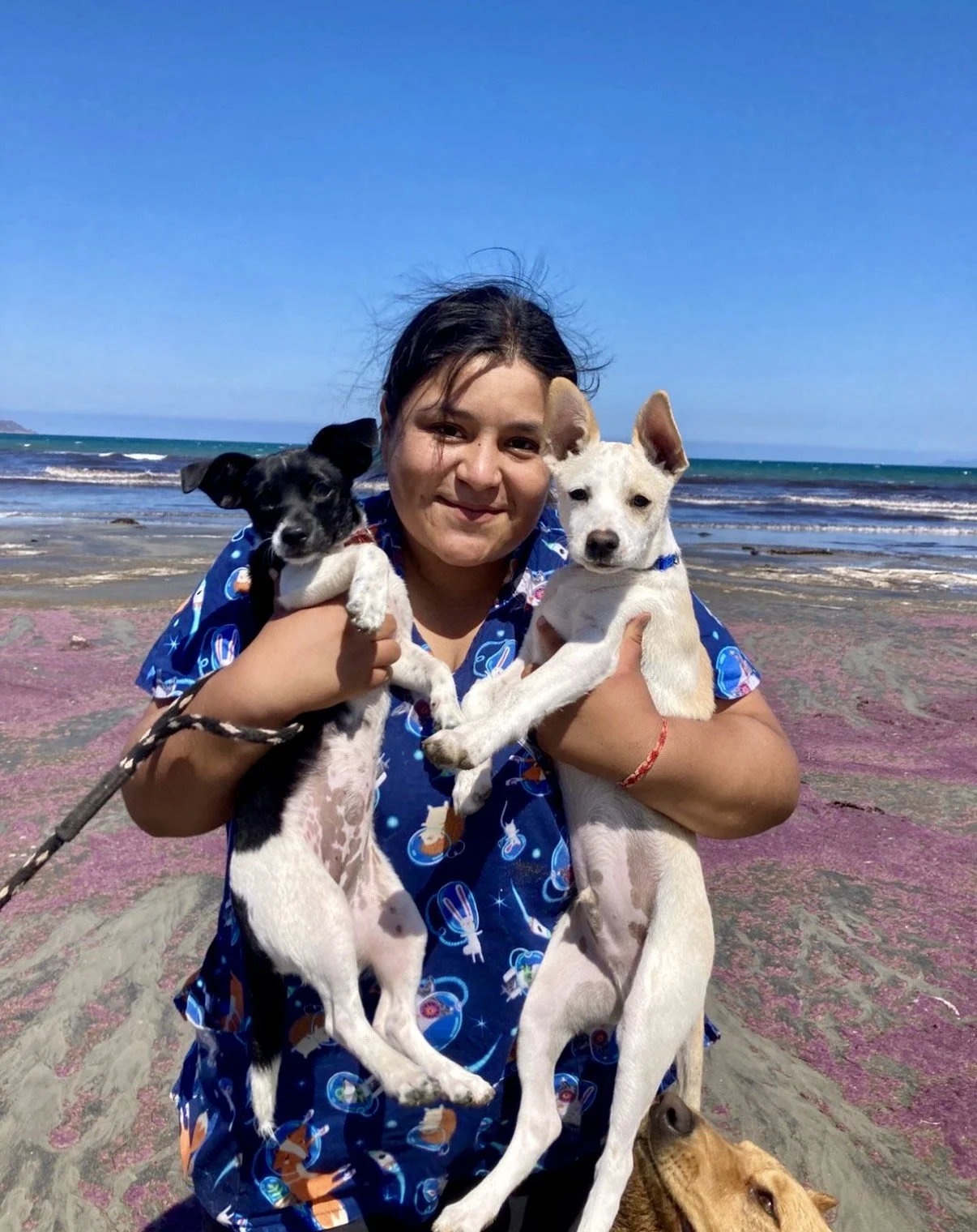 A woman holding two puppies on a beach with sand and the ocean in the background.