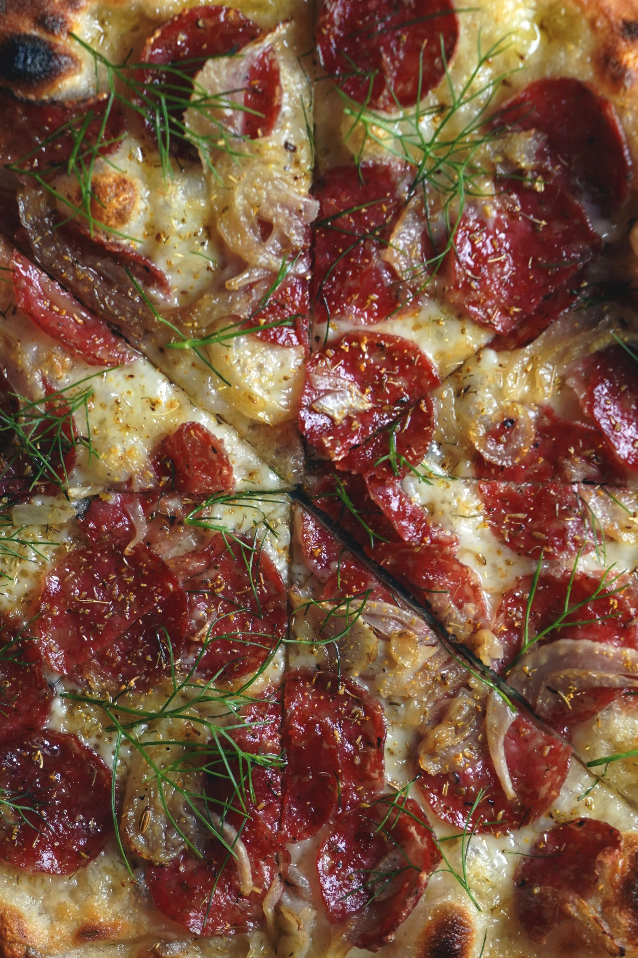 Copy of DSC07277.JPG