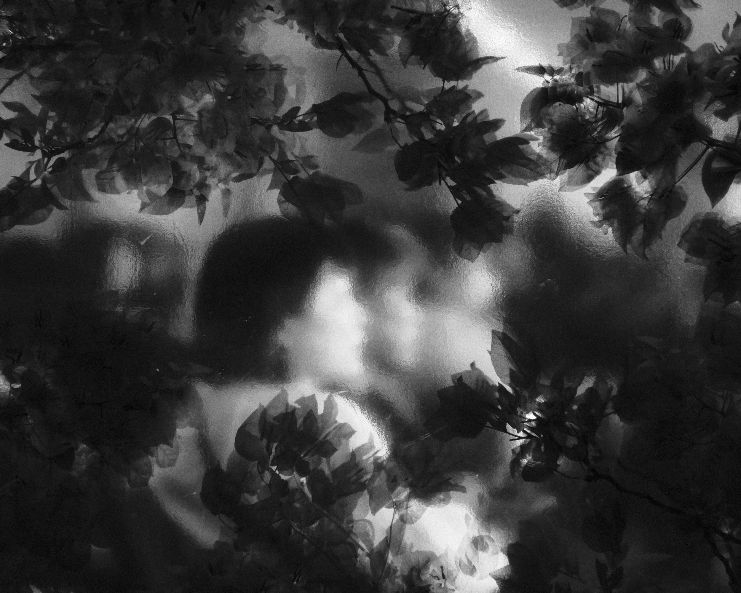 A black and white photograph of a woman with dark hair, surrounded by leaves and branches, with her face partially obscured by the foliage.