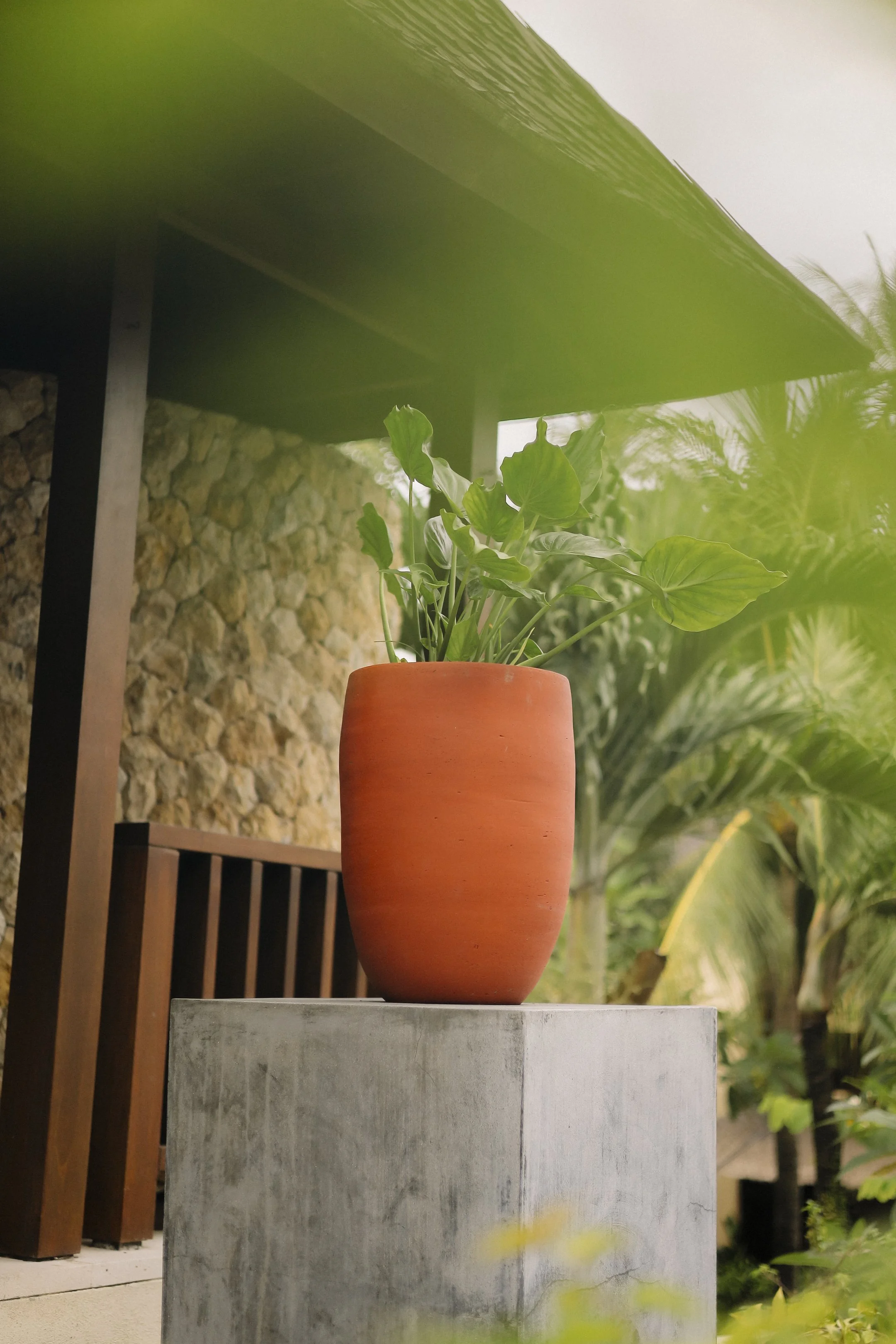 qamboja-spa-senggigi-vas-lombok-18.jpg