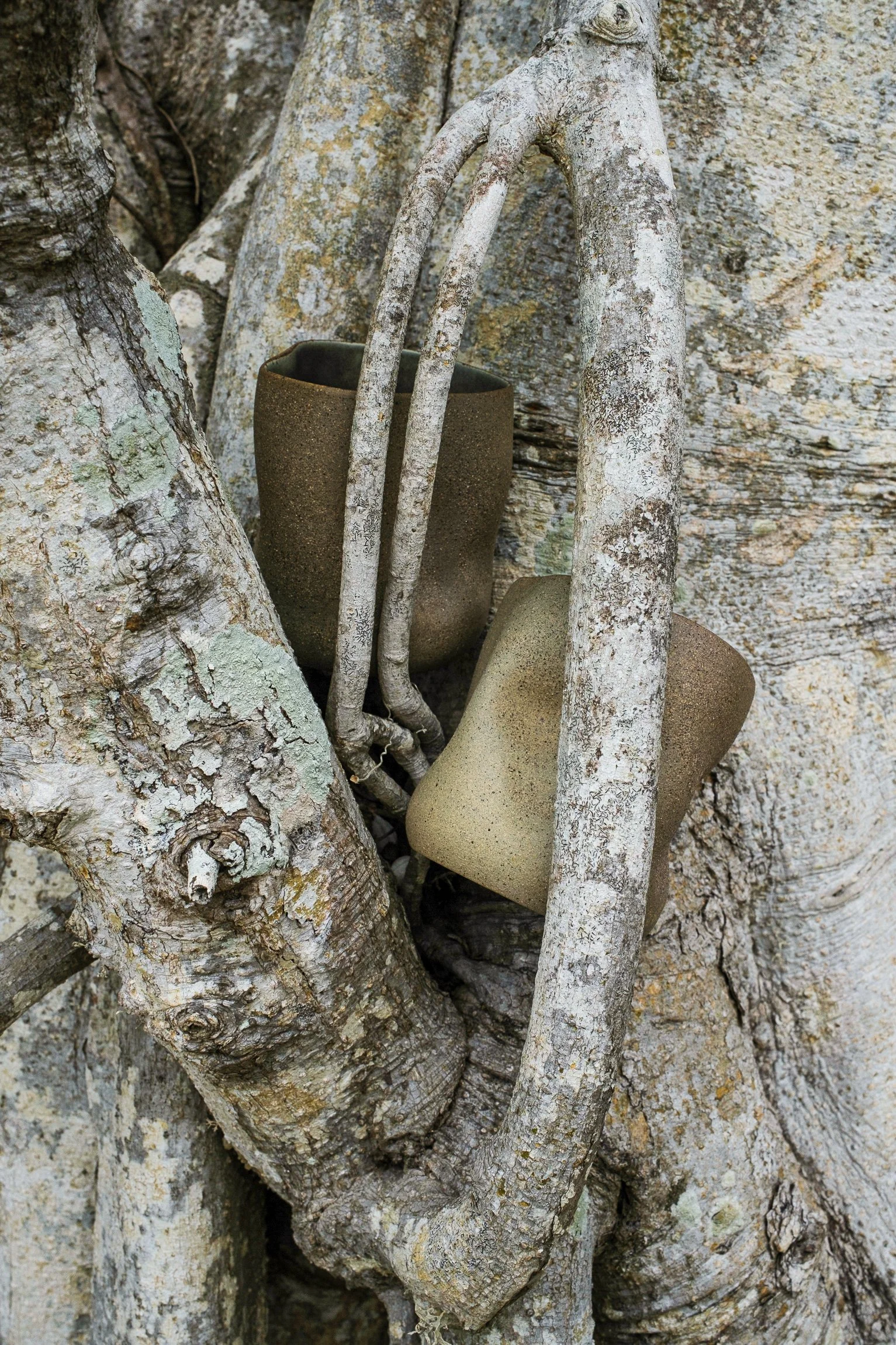 DSCF4719.jpg