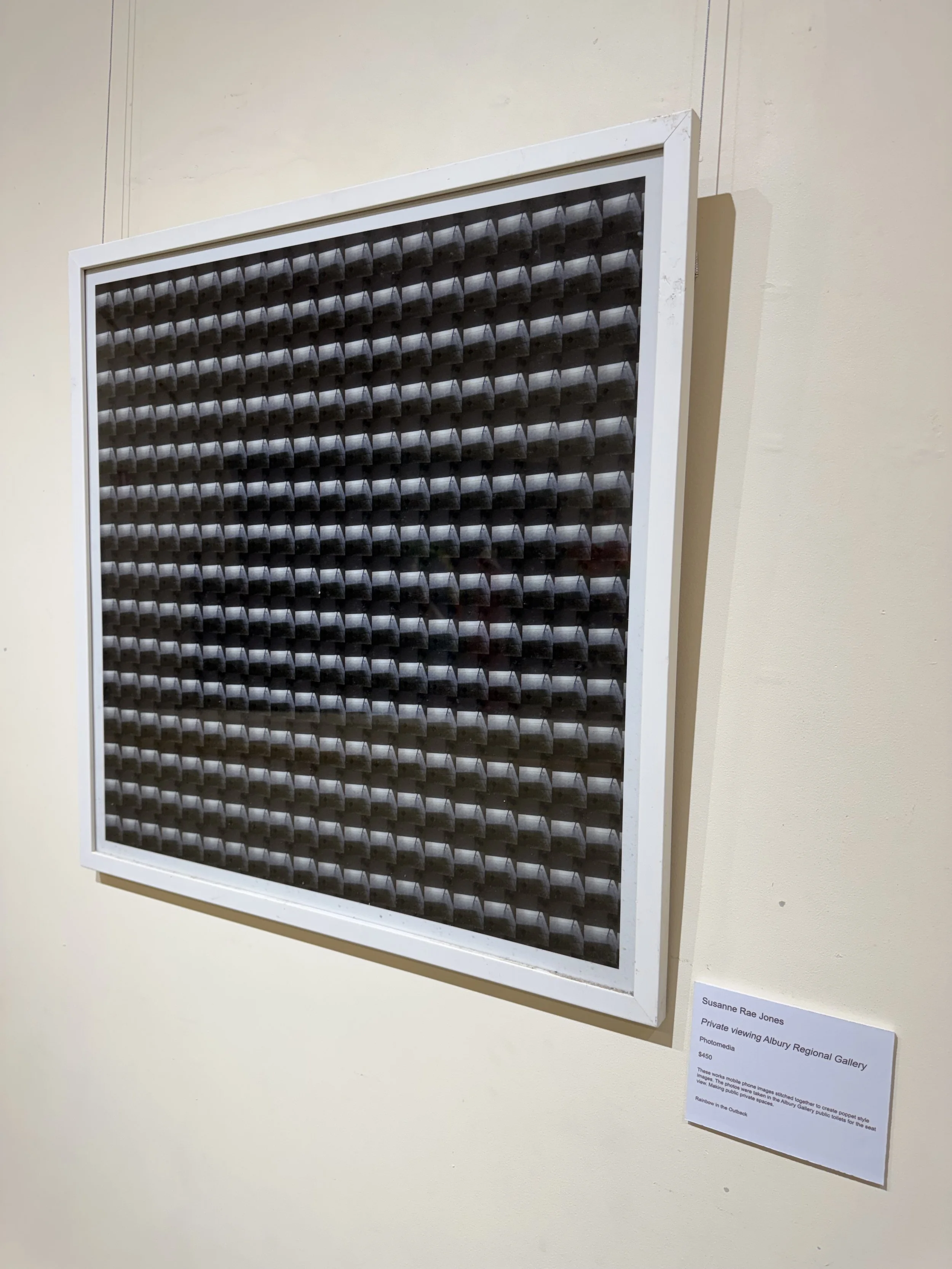 Private Viewing Albury Regional Gallery - Susanne Rae