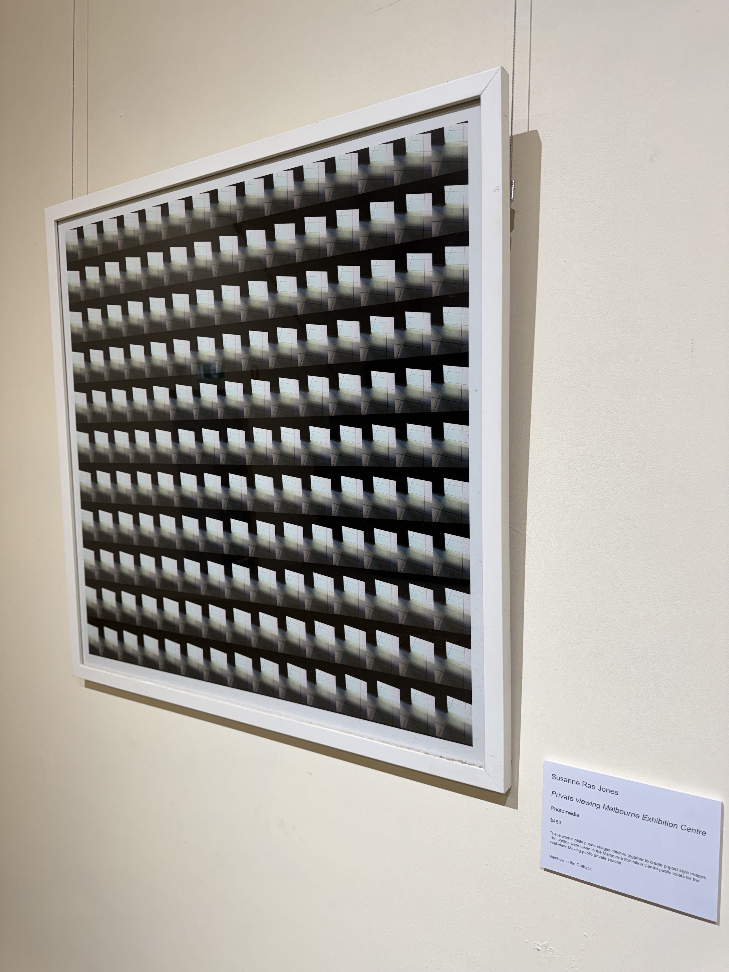 Private Viewing - Melbourne Exhibition Center - Susane Rae