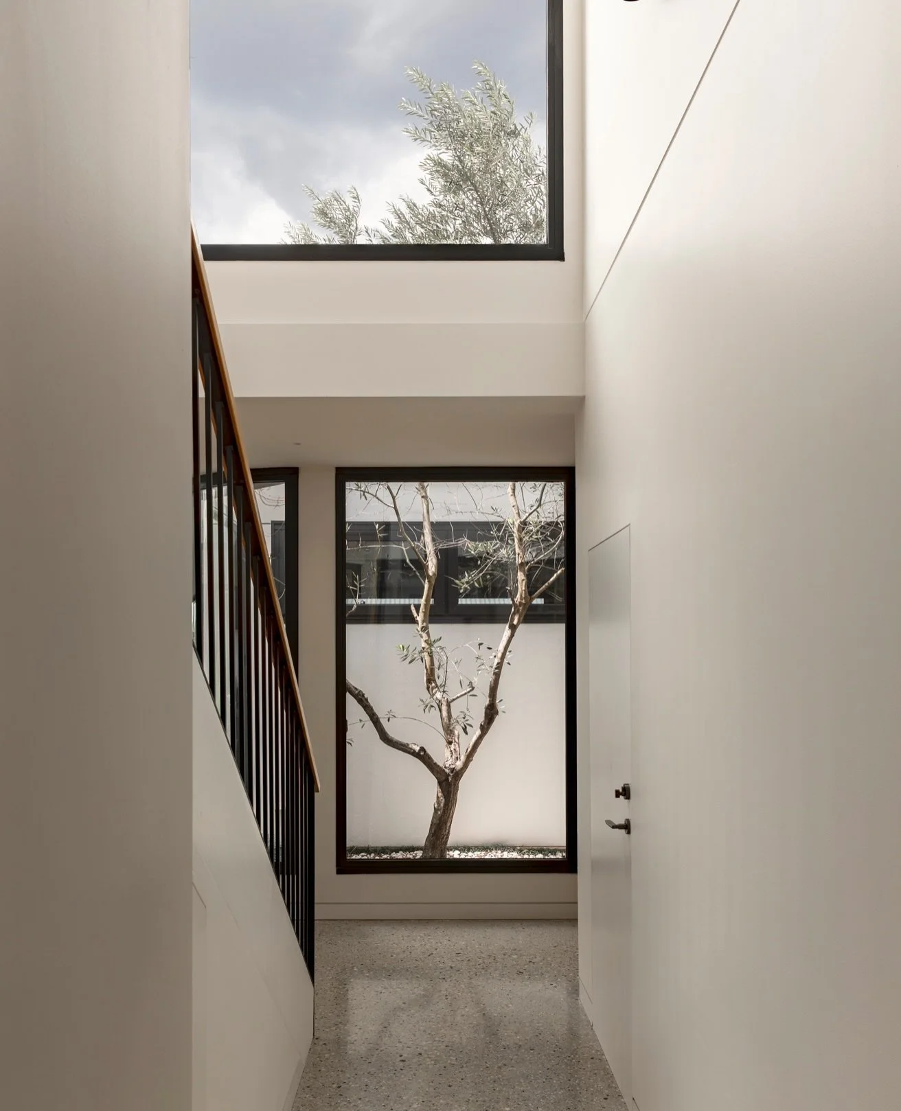 Who doesn&rsquo;t love a tree in the middle of a house?! 🌿

Building design @nadinekdesign 
Interior design @carolinejollyinteriors