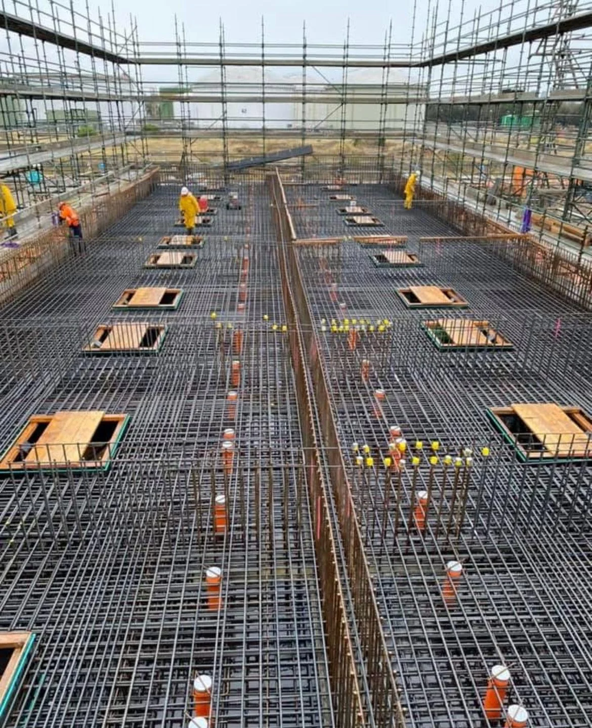 WhatsApp Image 2025-04-05 at 1.51.02 PM.jpeg