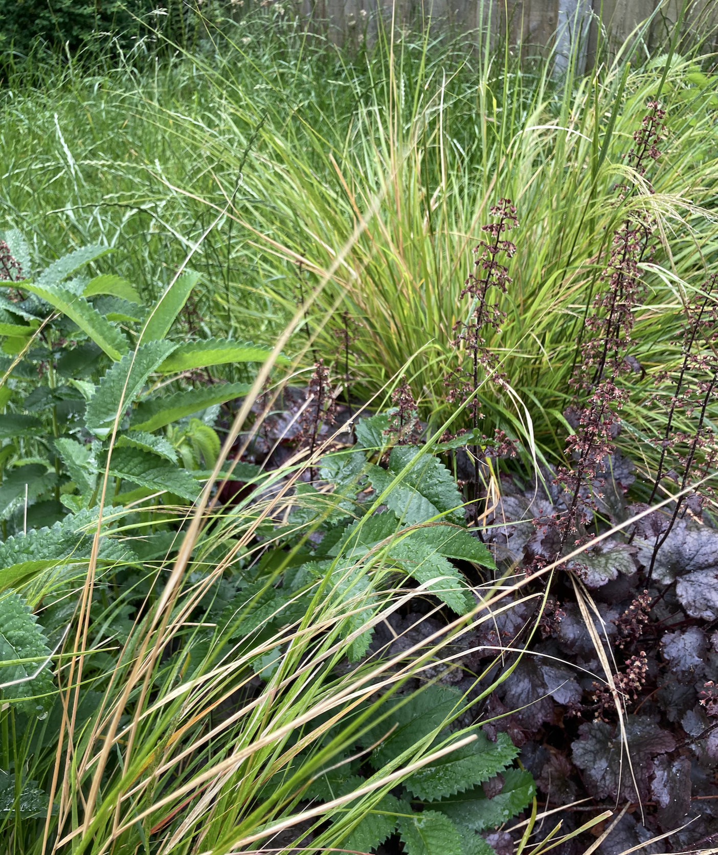 Screenshot 2026-01-23 at 16.54.21.png