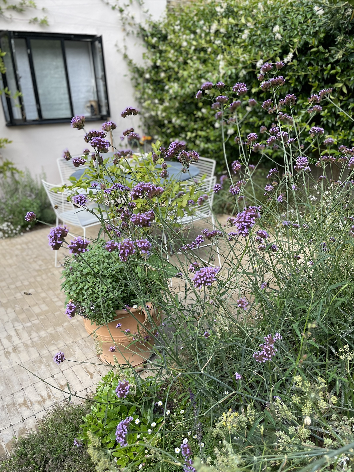 Screenshot 2026-01-12 at 18.37.28.png