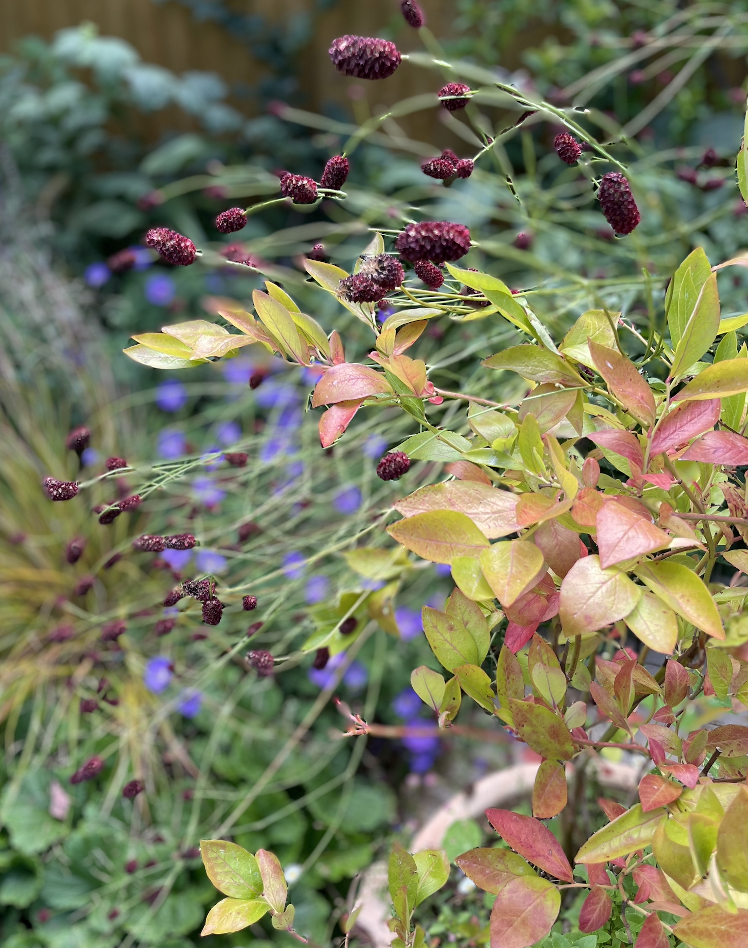 Screenshot 2026-01-12 at 18.35.47.png