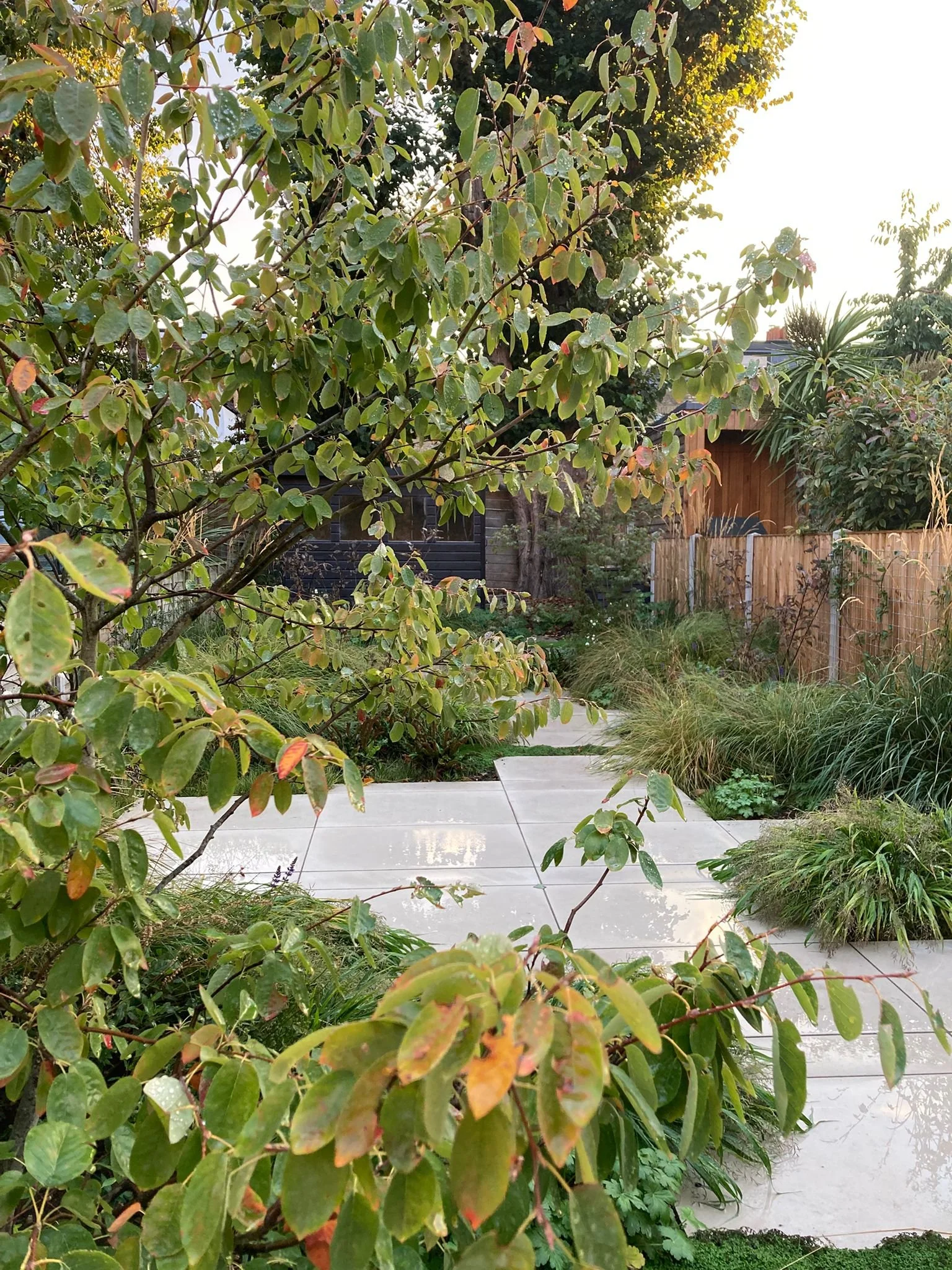 WhatsApp Image 2025-09-28 at 18.33.00.jpeg