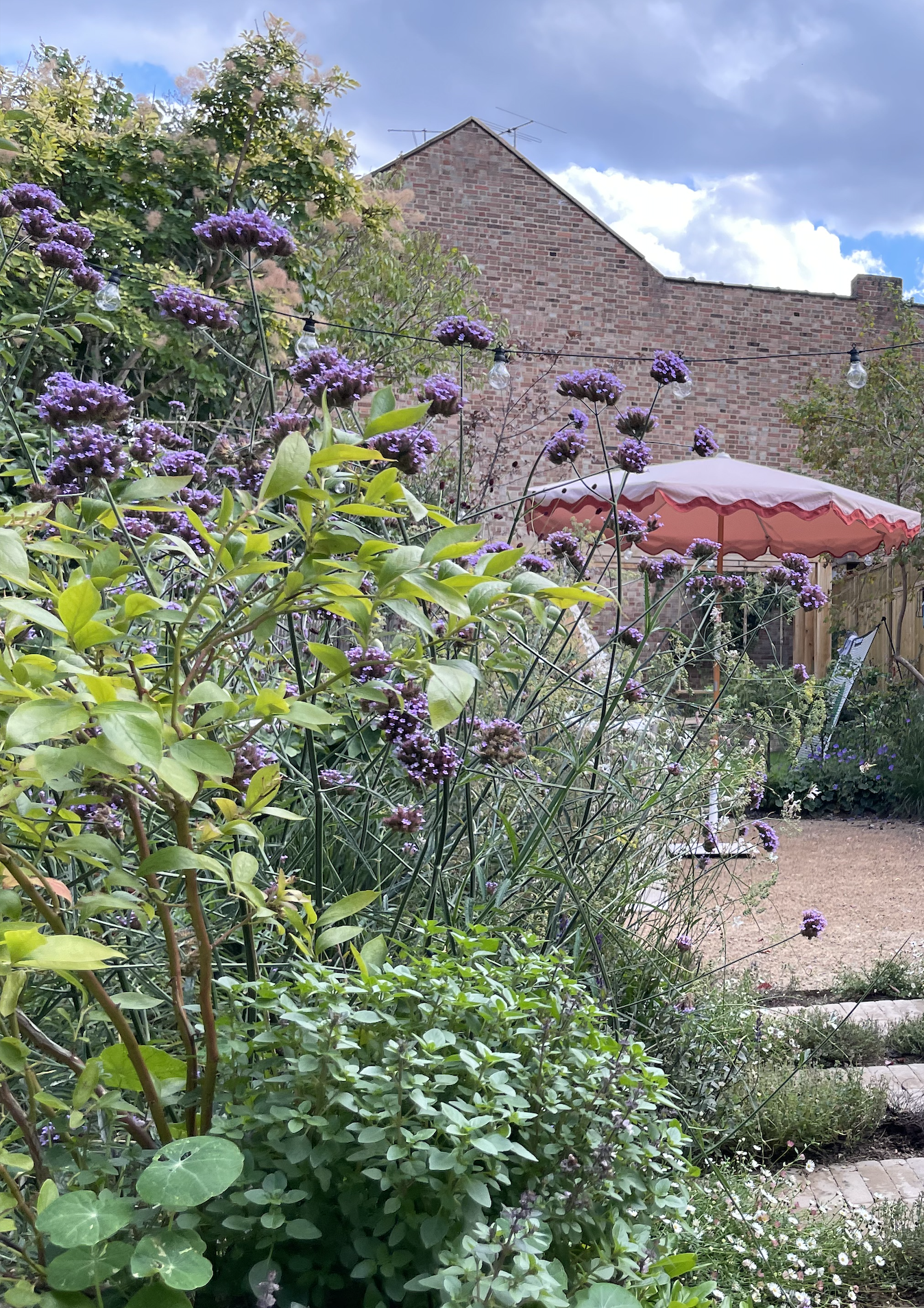 Screenshot 2026-01-12 at 18.38.38.png