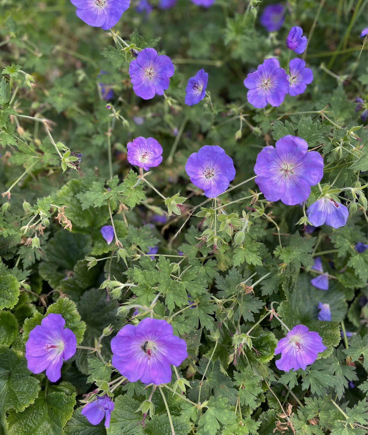 Screenshot 2026-01-12 at 18.37.13.png