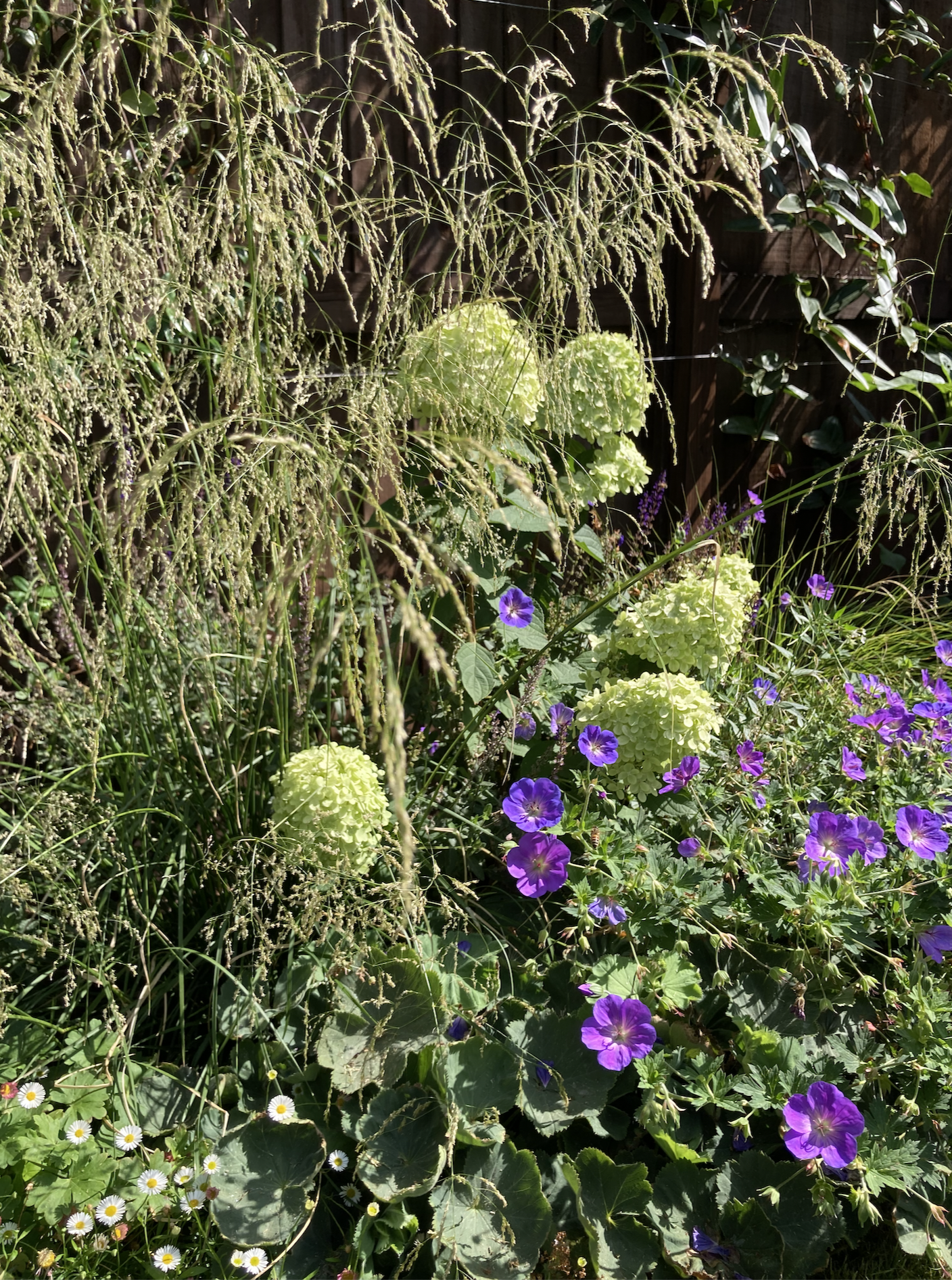 Screenshot 2026-01-12 at 14.48.36.png