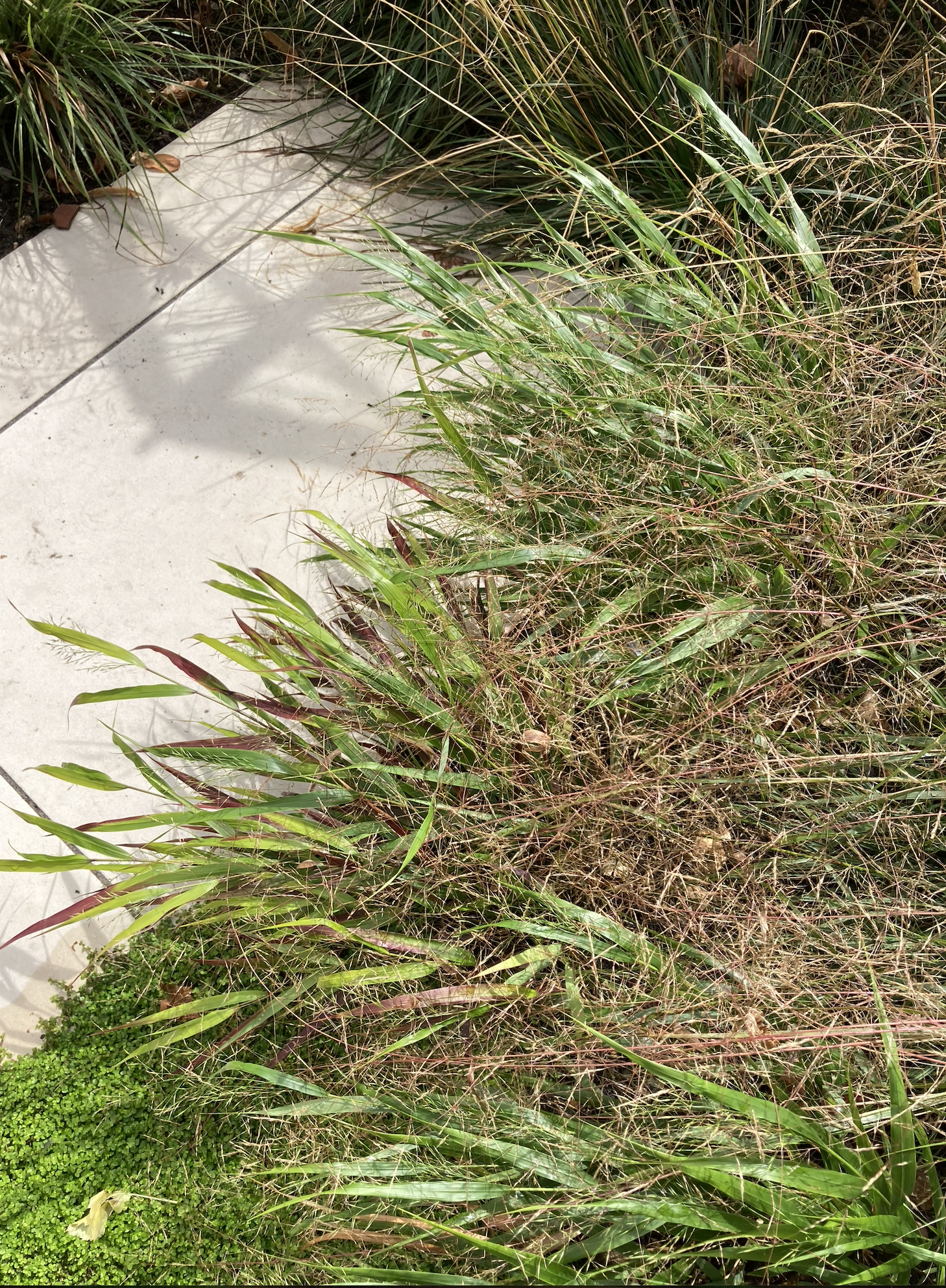 Screenshot 2026-01-12 at 14.28.46.png