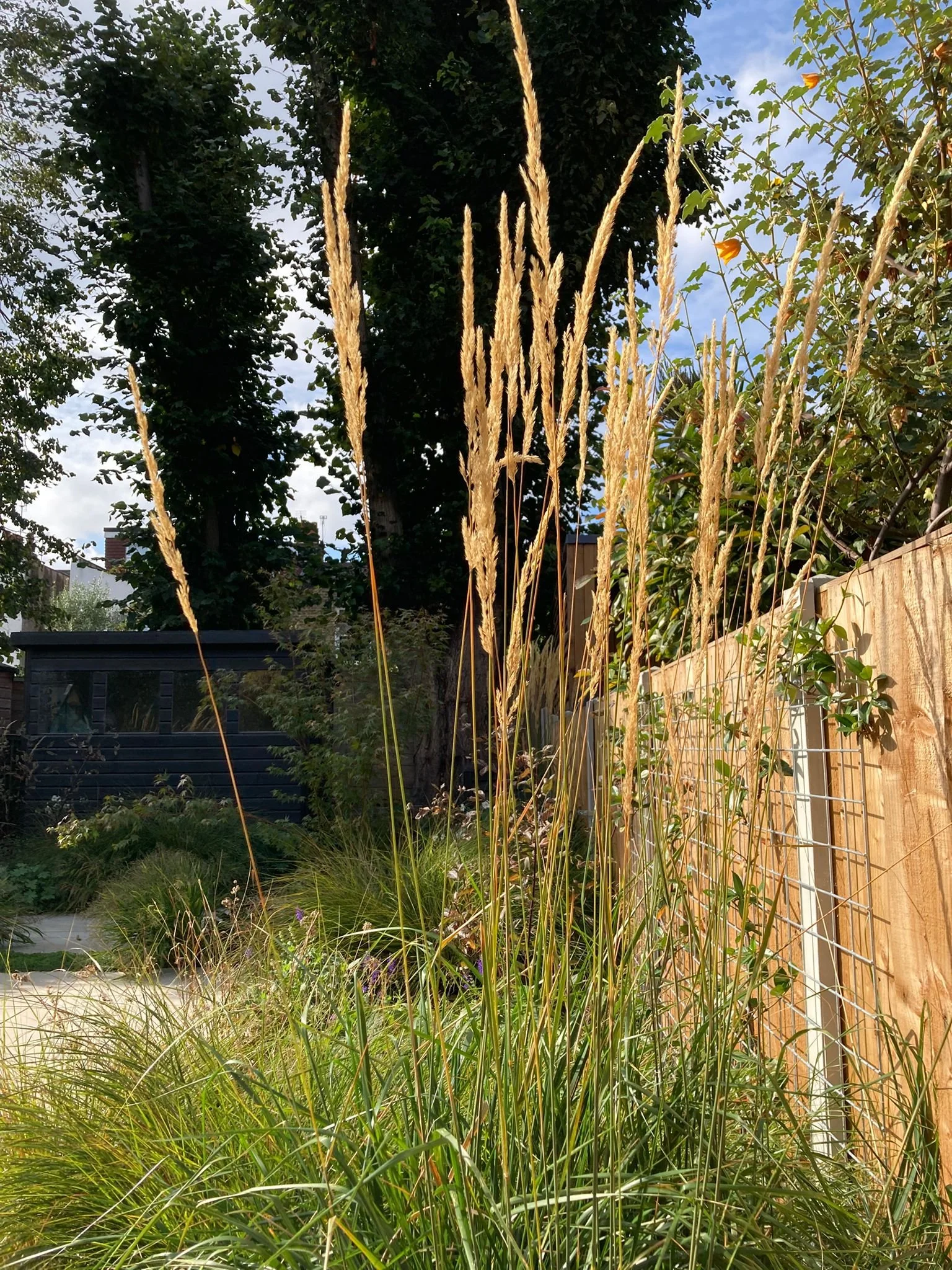 4WhatsApp Image 2025-09-28 at 18.33.22.jpeg