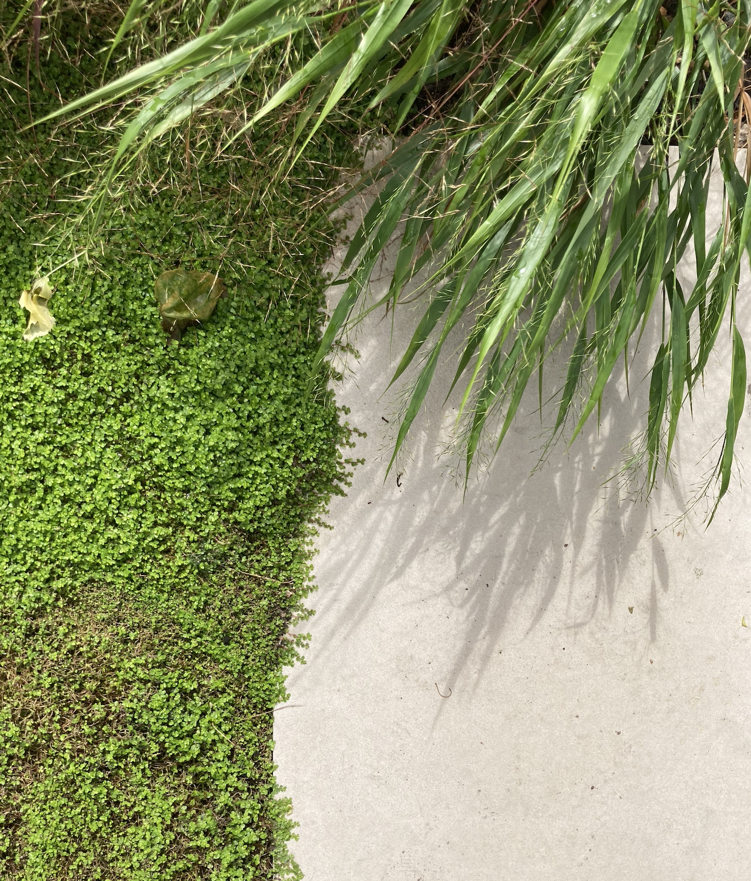 Screenshot 2026-01-12 at 14.25.33.png