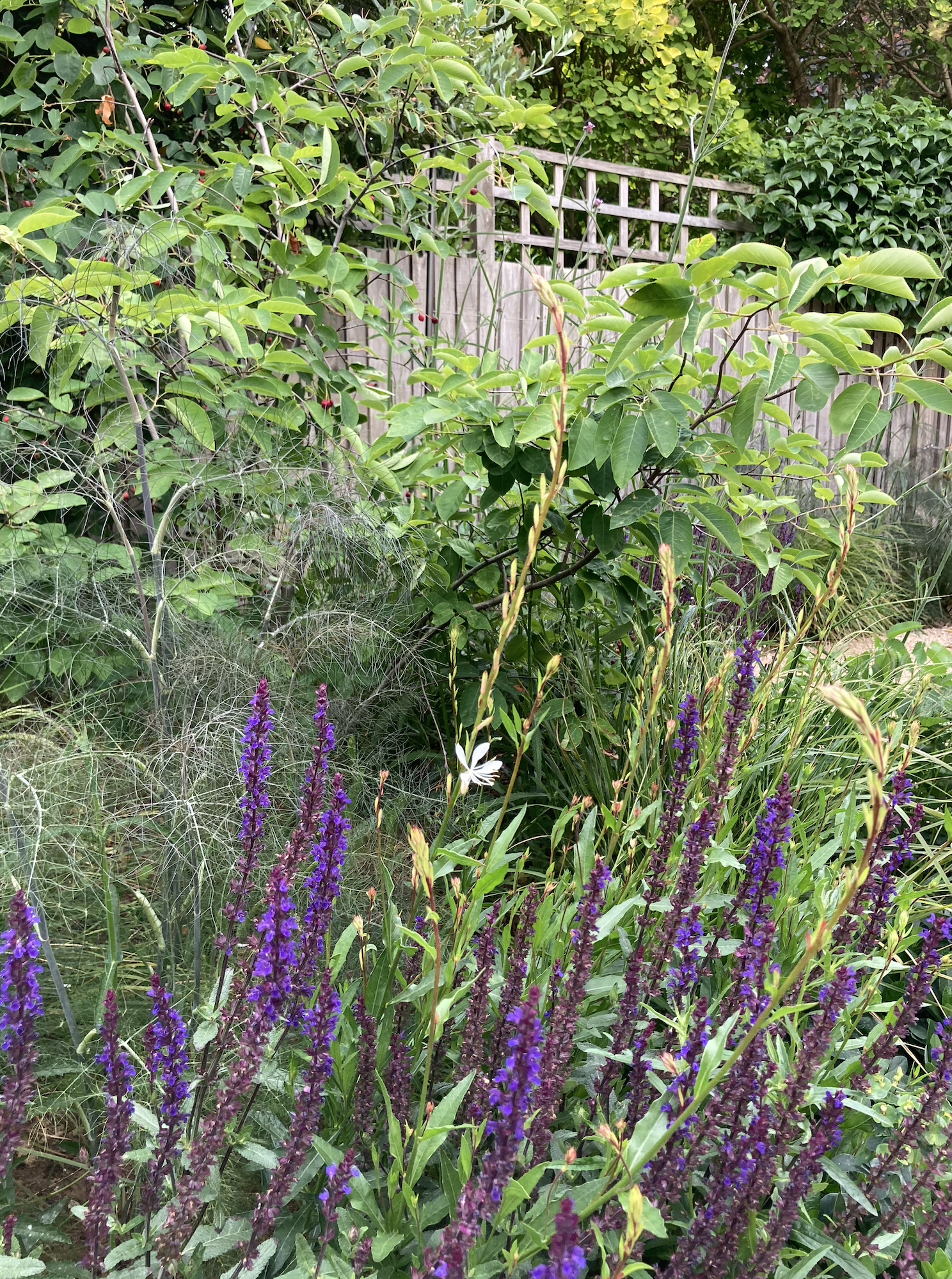 Screenshot 2026-01-12 at 18.34.47.png