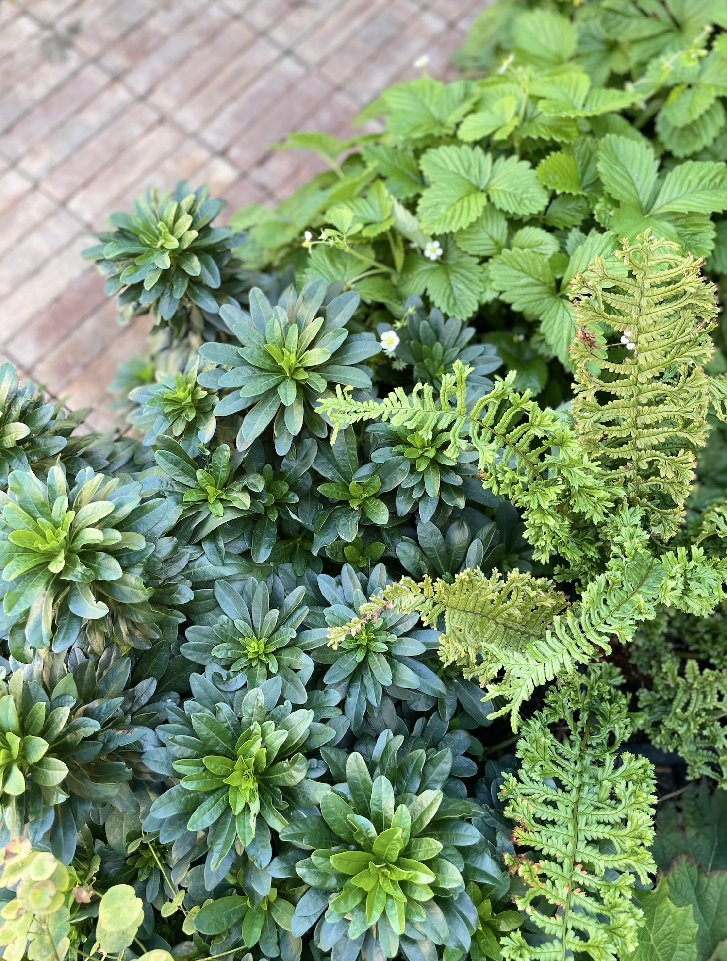 Screenshot 2026-01-12 at 14.40.08.png