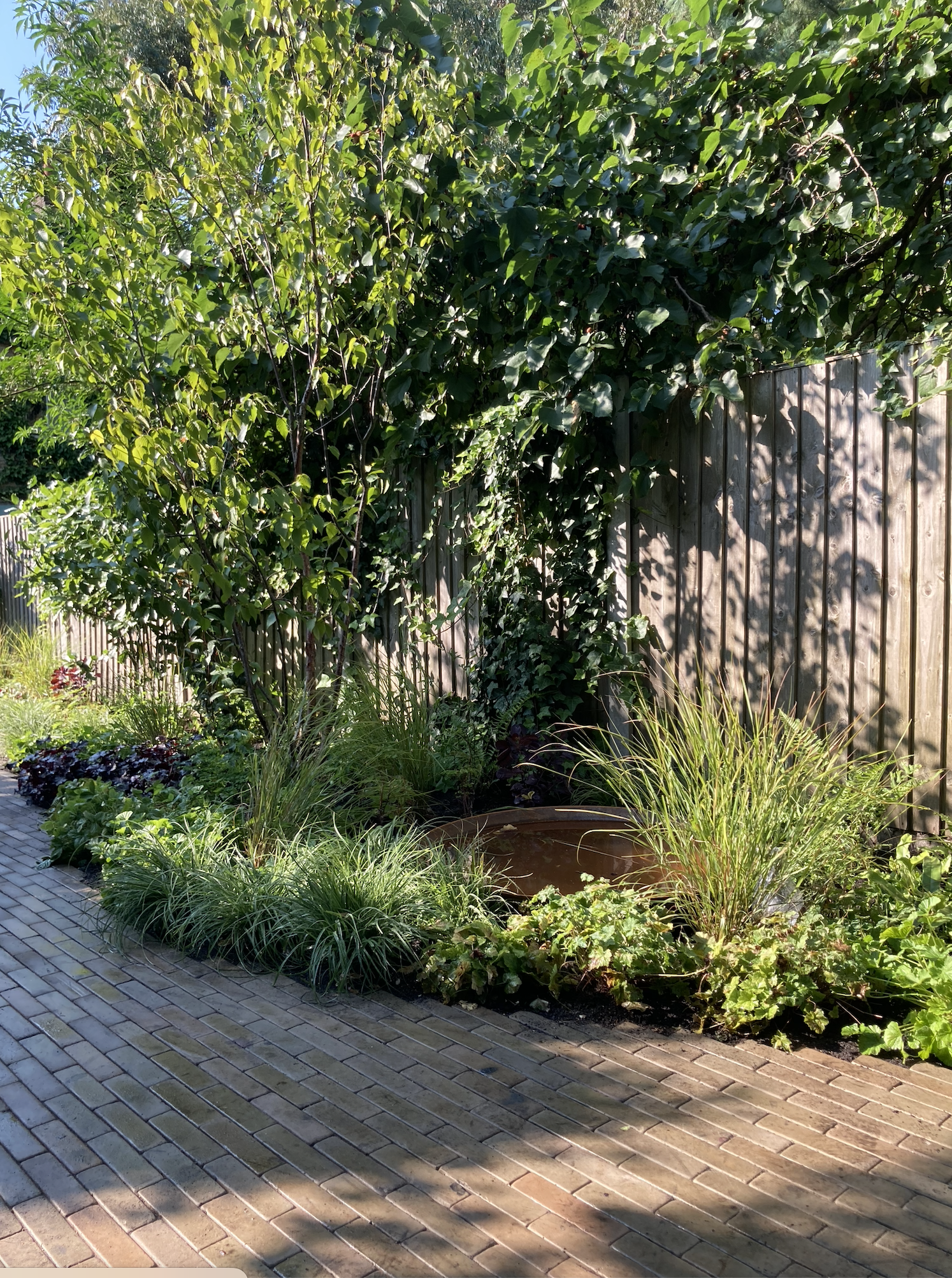 Screenshot 2026-01-23 at 16.49.39.png