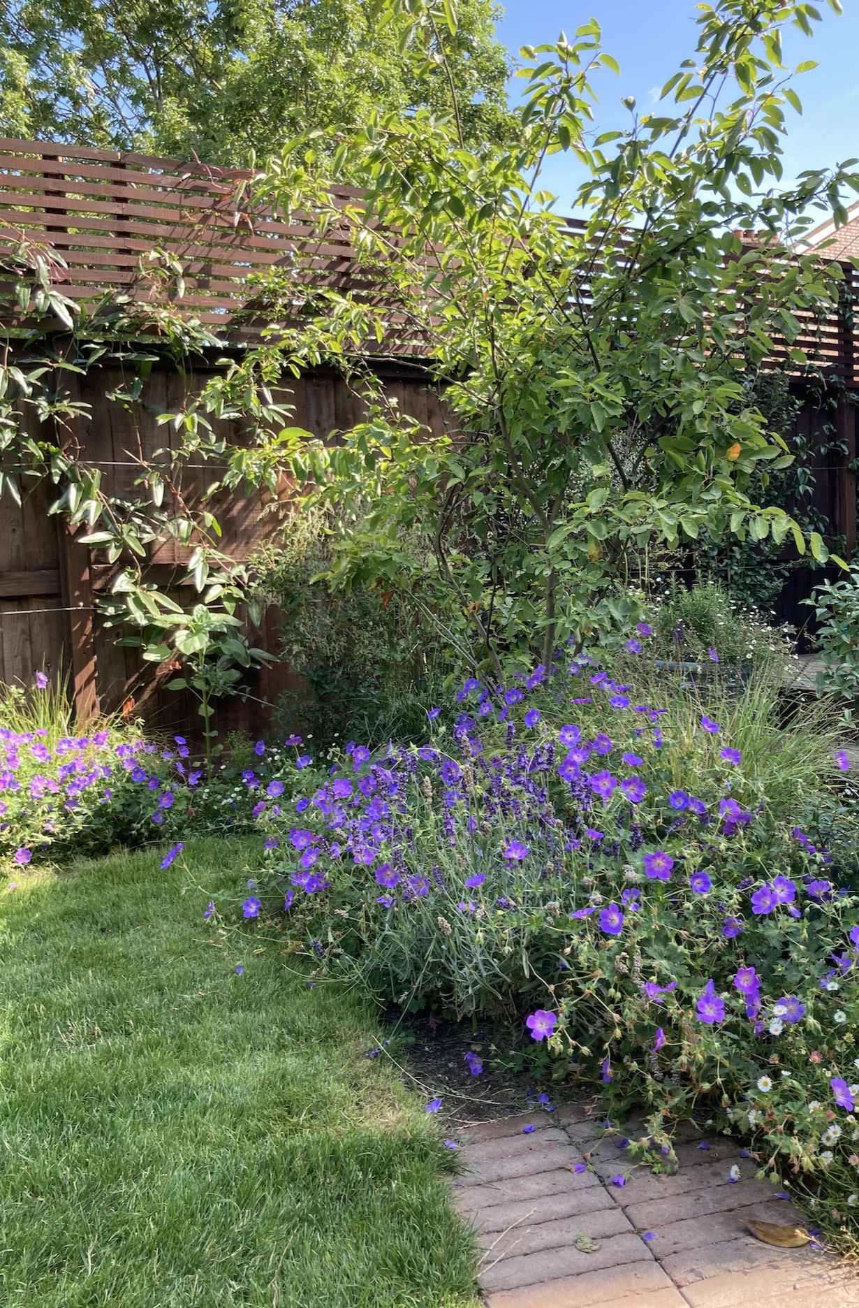 Screenshot 2026-01-12 at 14.49.37.png