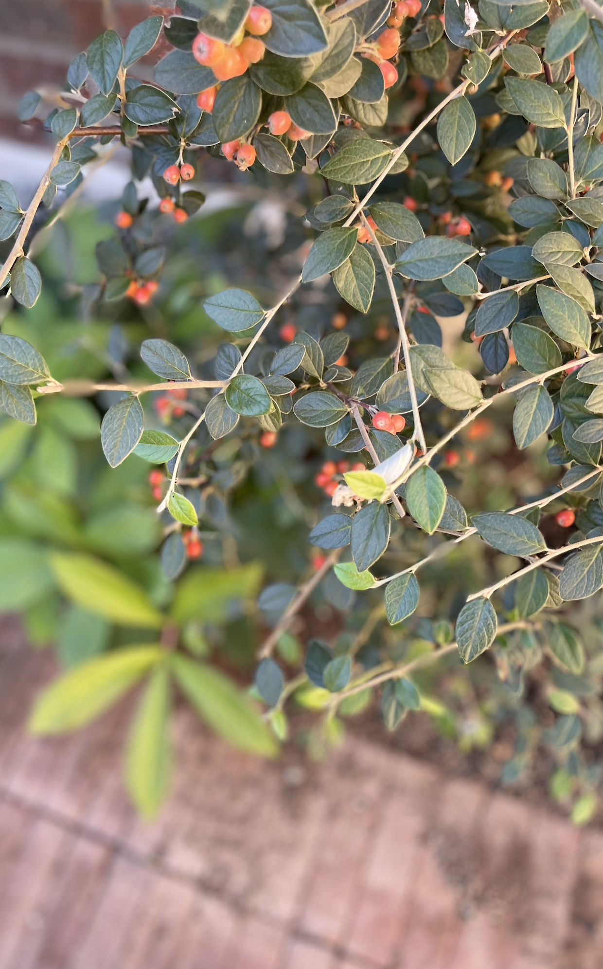 Screenshot 2026-01-12 at 14.41.49.png