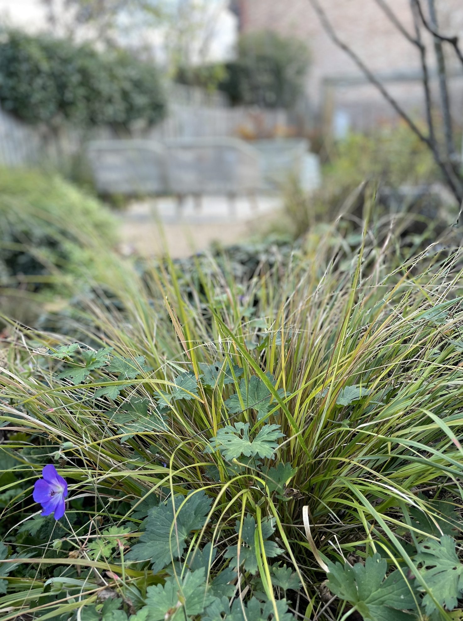 Screenshot 2026-01-12 at 18.35.32.png