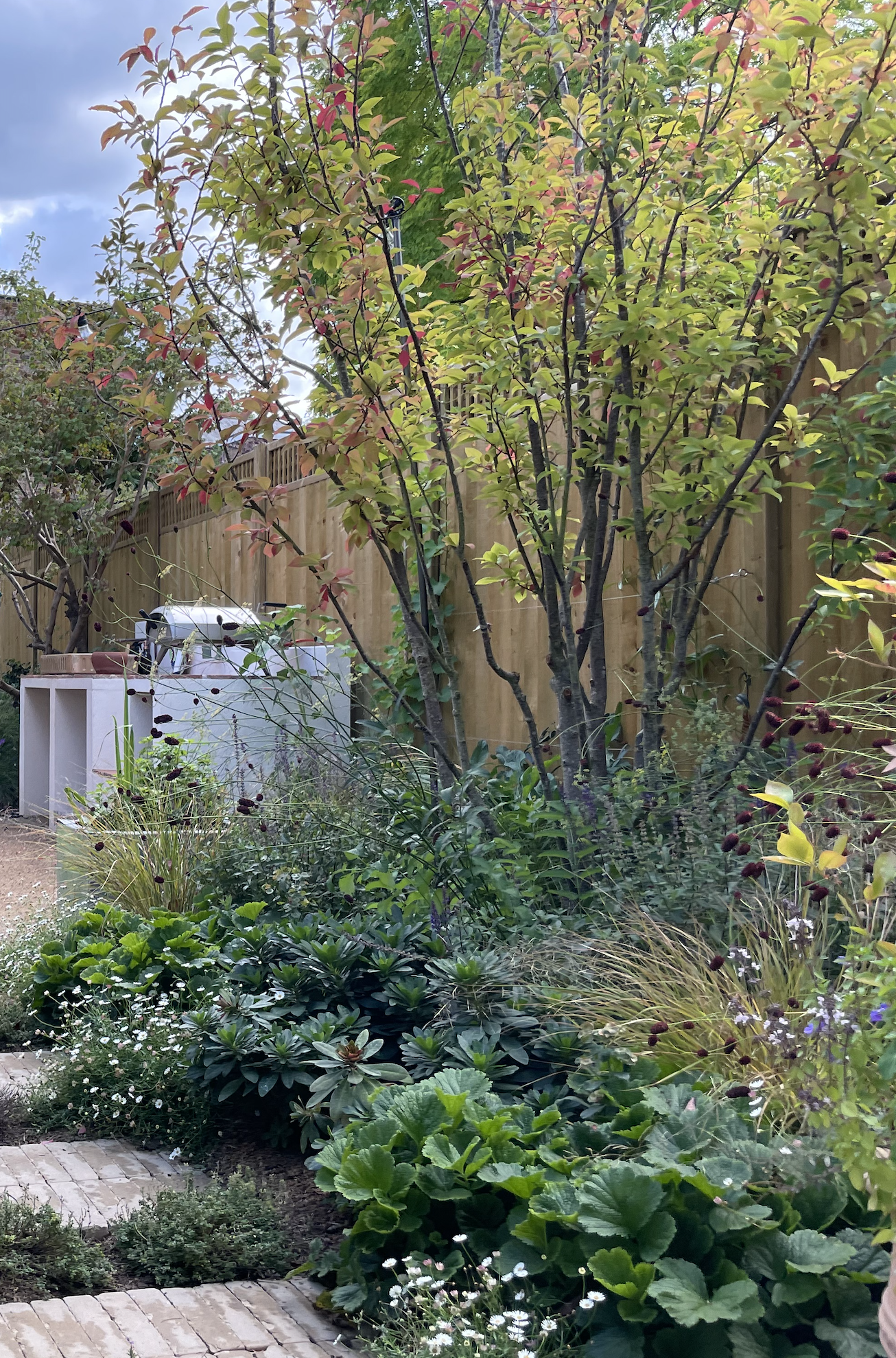 Screenshot 2026-01-12 at 18.38.20.png