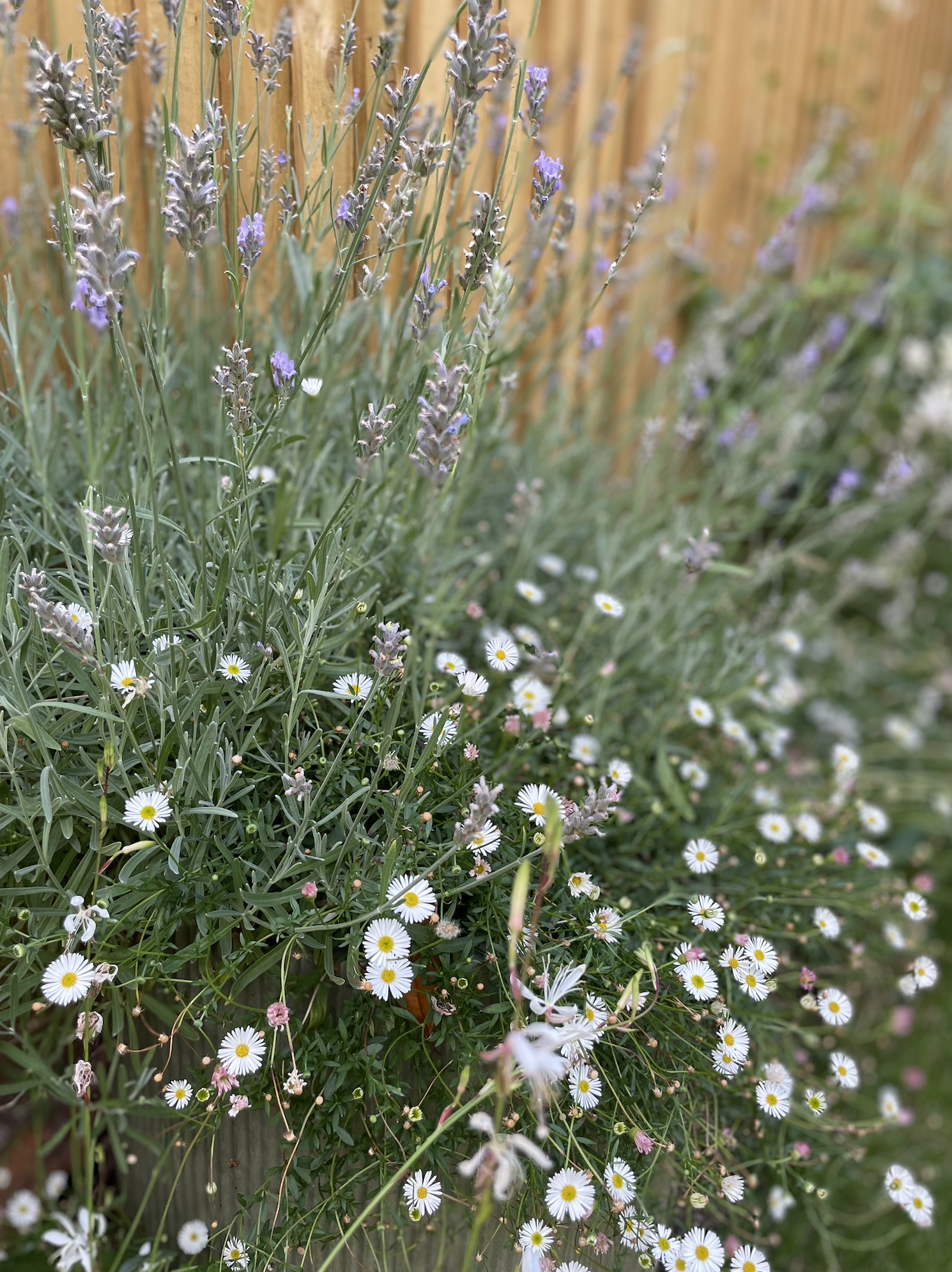 Screenshot 2026-01-12 at 18.36.15.png