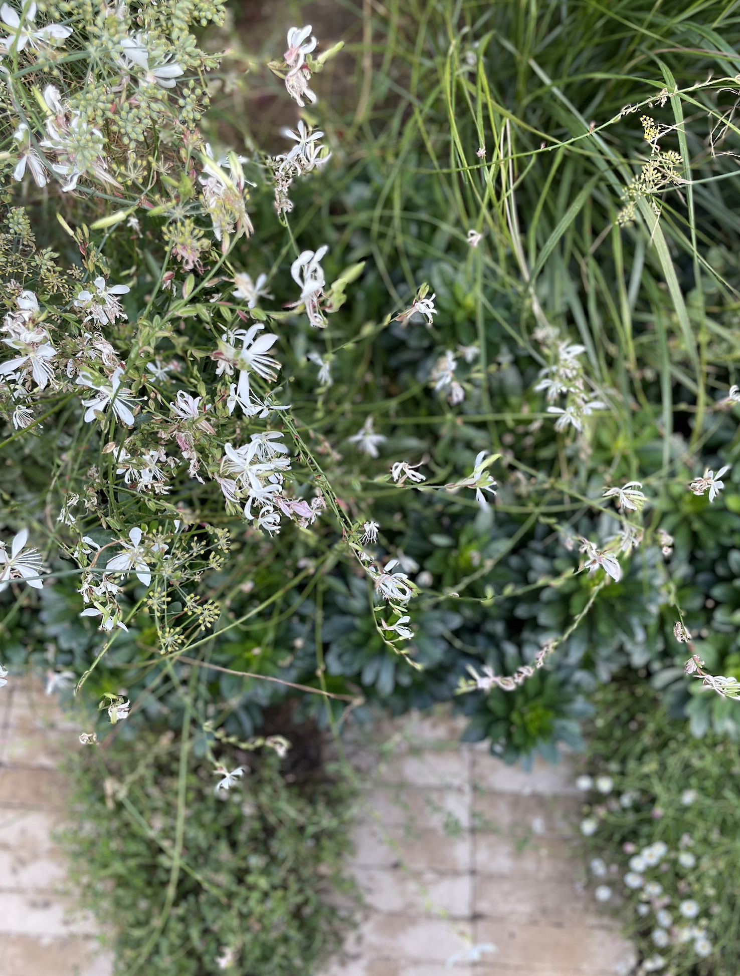 Screenshot 2026-01-12 at 18.36.54.png