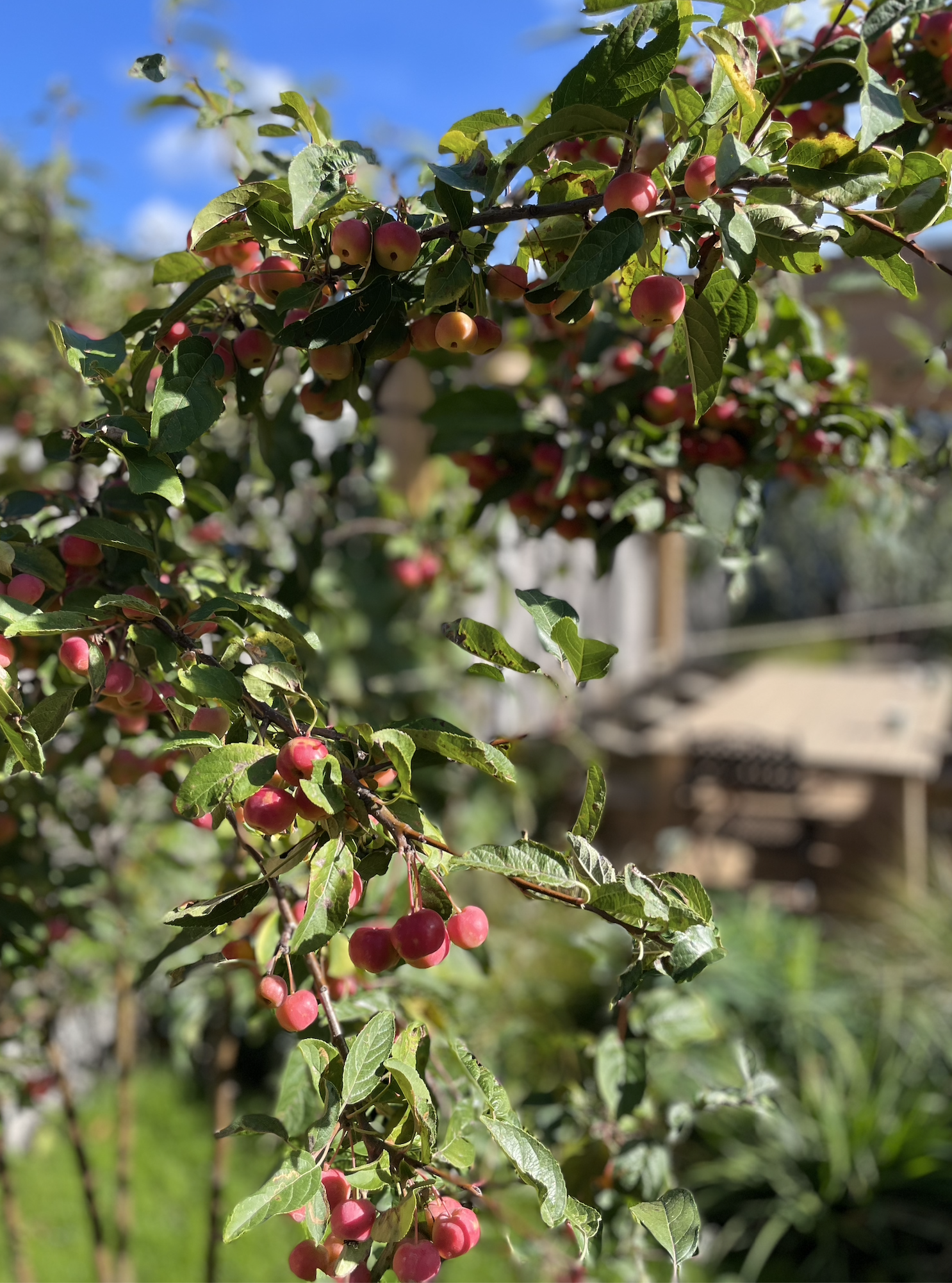 Screenshot 2026-01-12 at 14.39.33.png