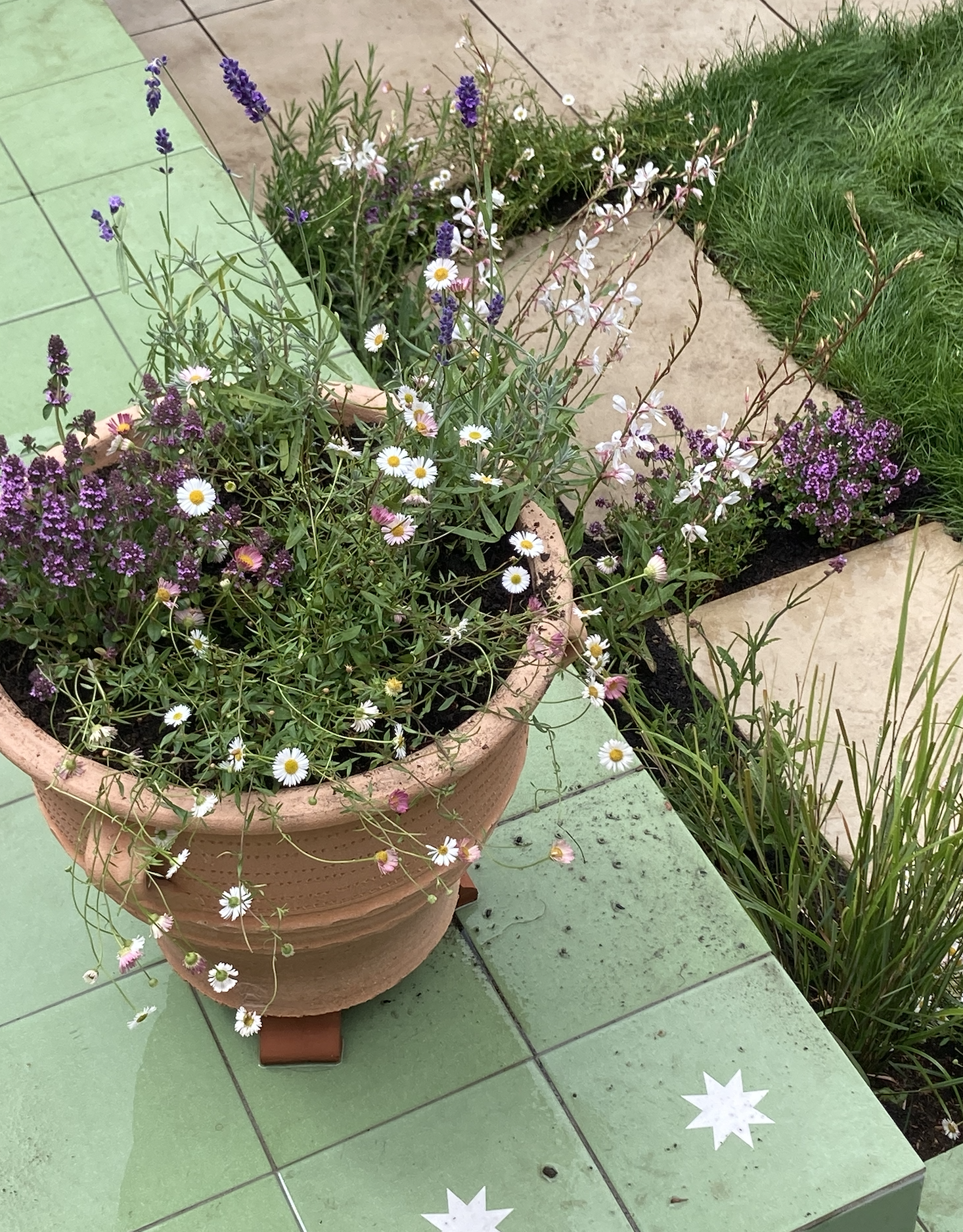 Screenshot 2026-01-23 at 17.37.05.png