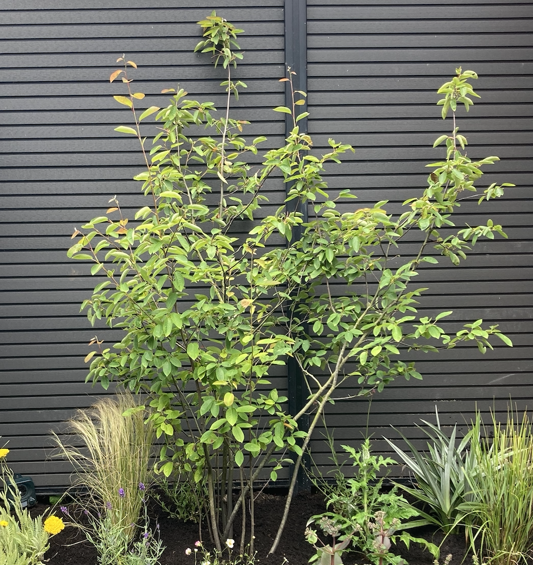 Screenshot 2026-01-23 at 17.36.10.png