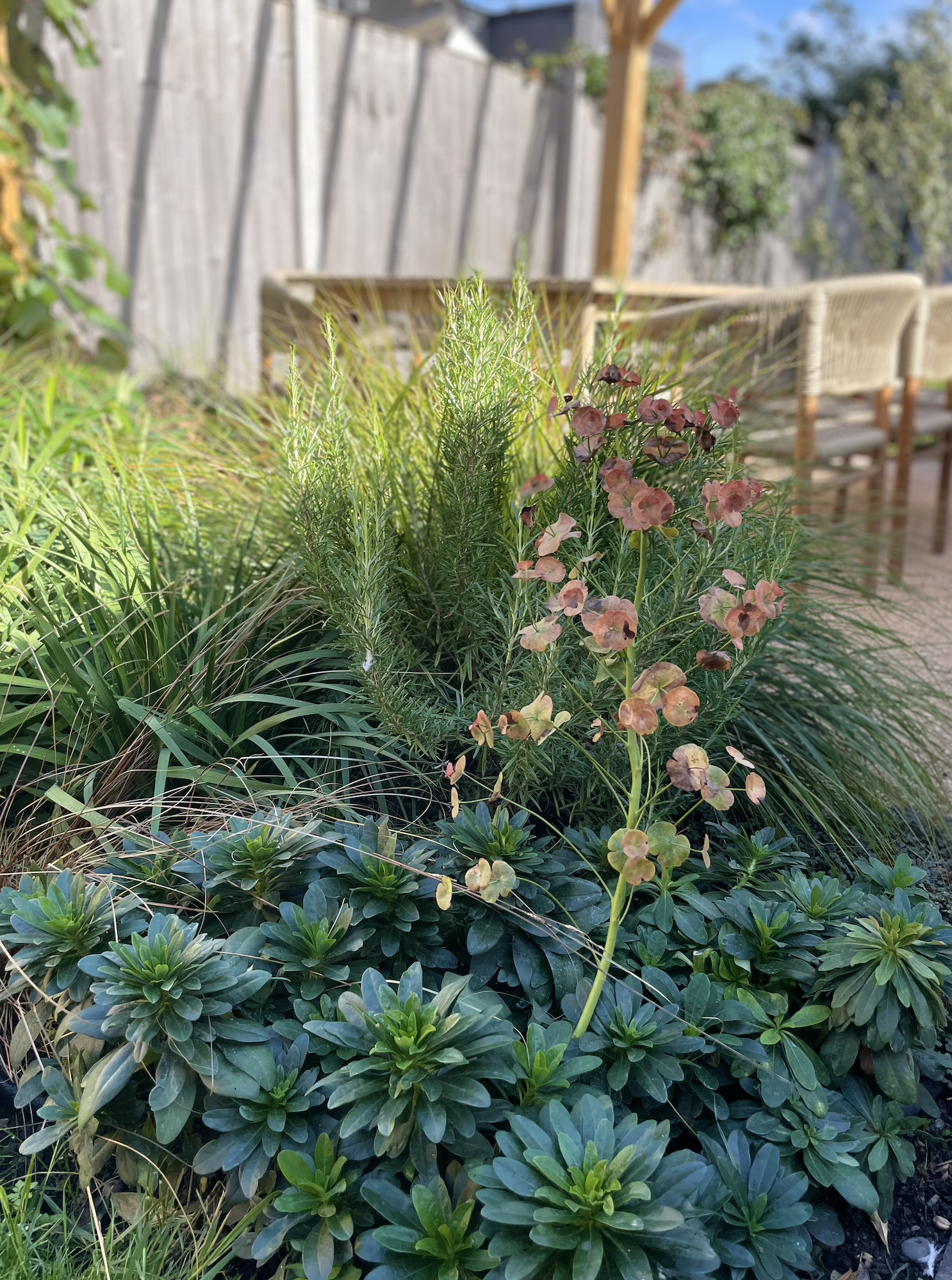 Screenshot 2026-01-12 at 14.41.10.png