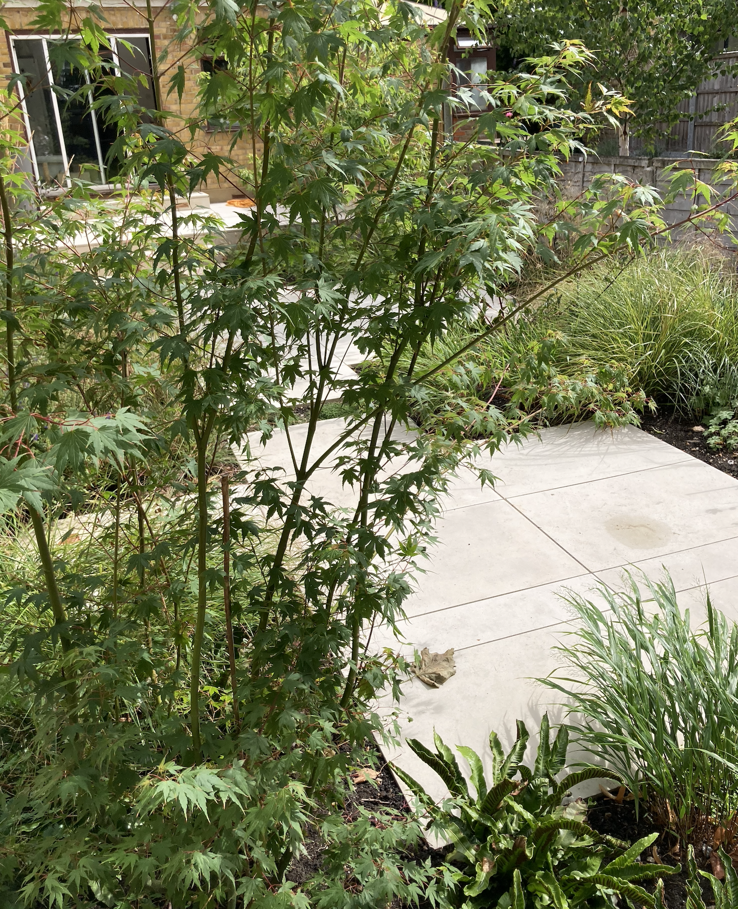 Screenshot 2026-01-12 at 14.26.13.png