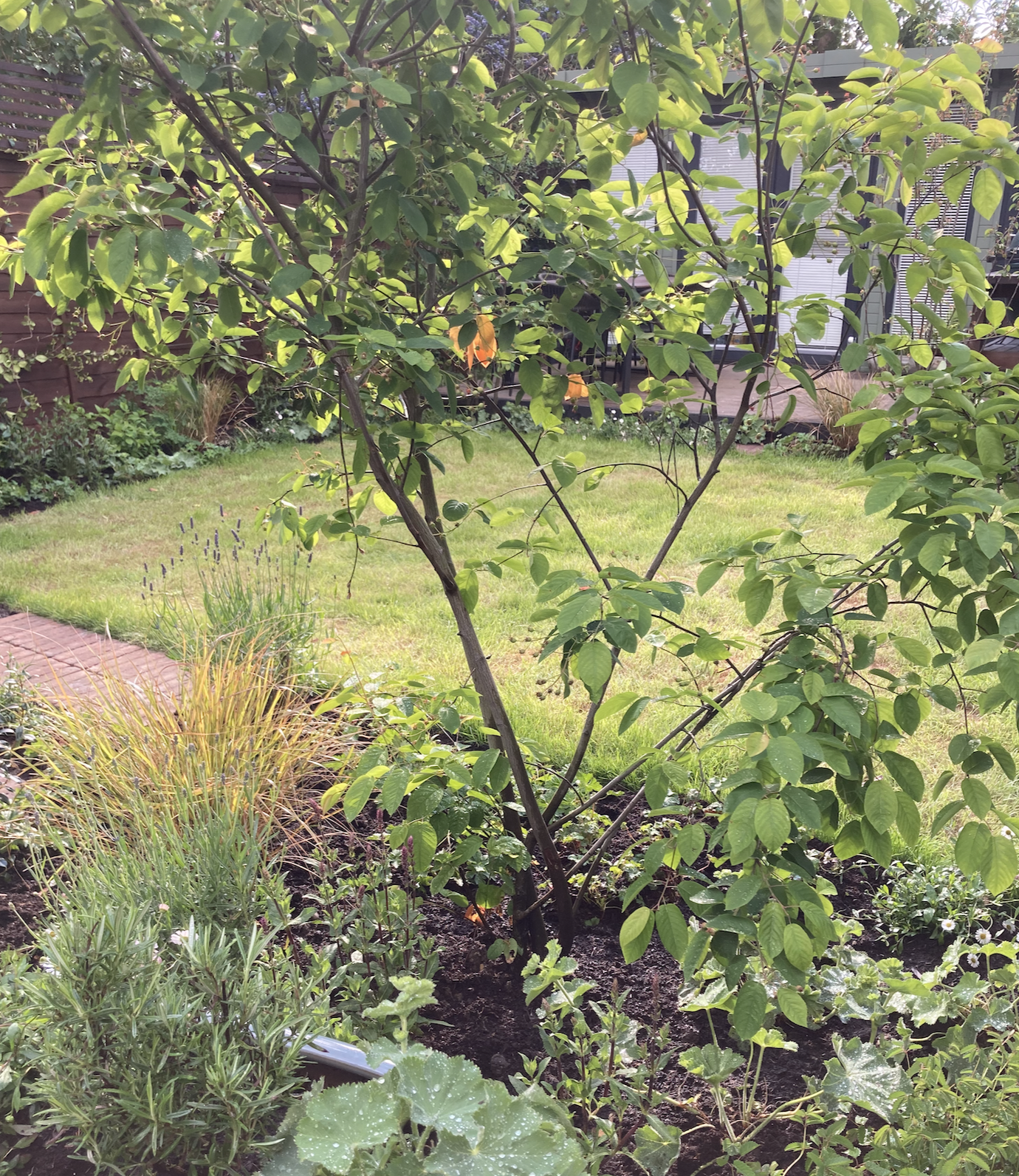 Screenshot 2026-01-12 at 14.50.54.png