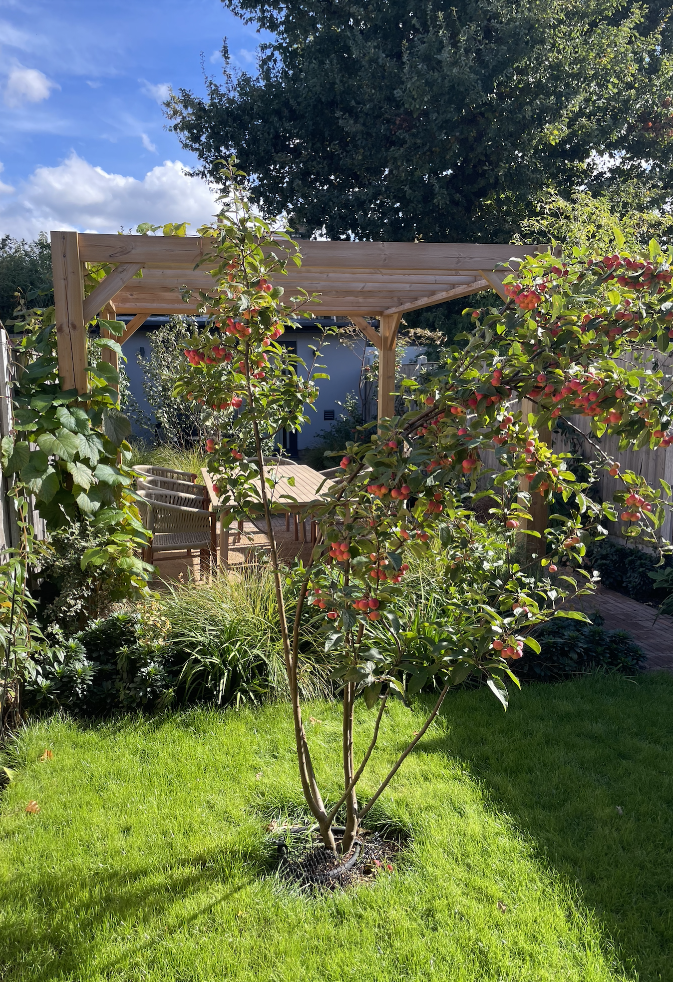 Screenshot 2026-01-23 at 17.21.09.png