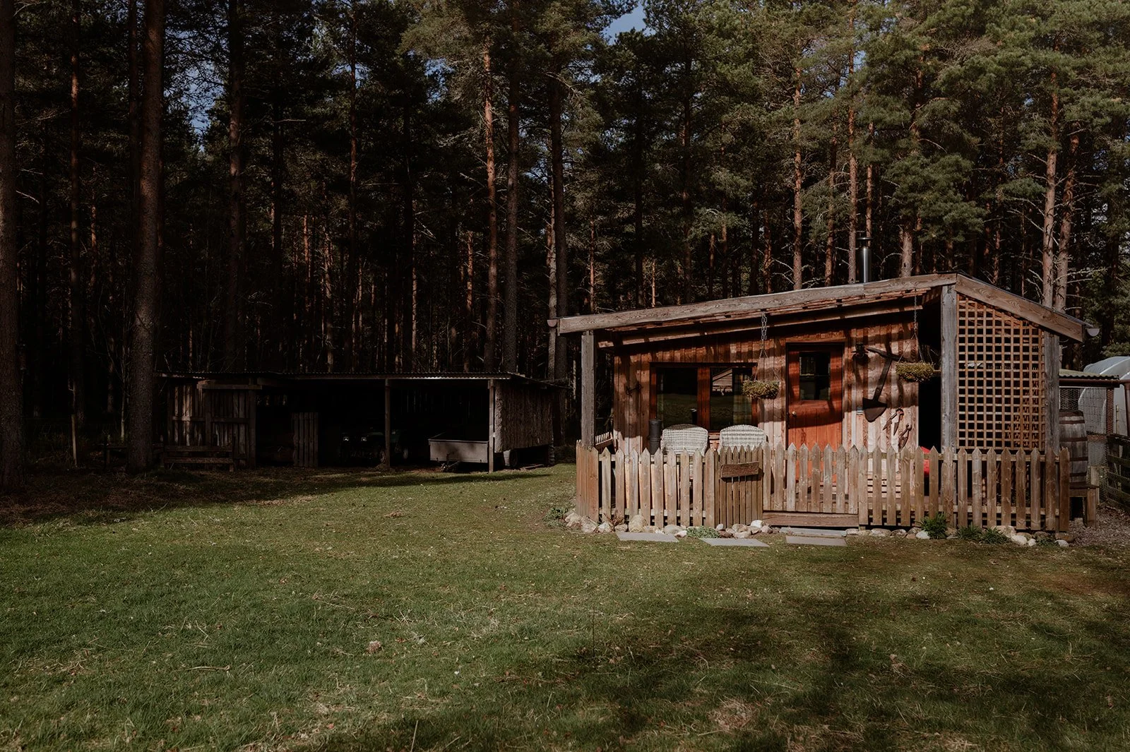 A small wooden cabin with a fenced porch, two hanging plants, and outdoor seating, set in a grassy yard surrounded by tall pine trees.
